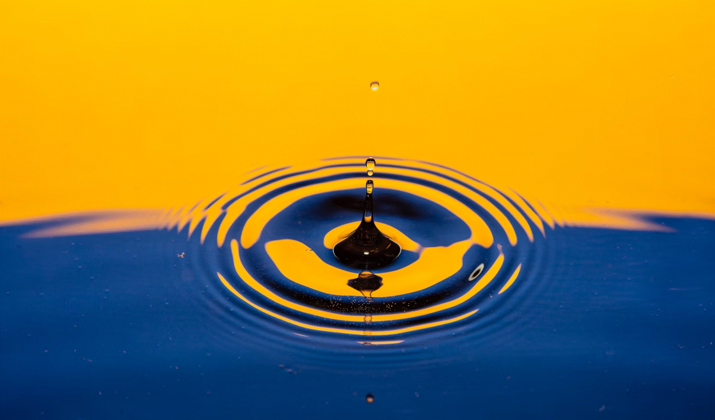 Cover image for Giving Wisely: The Delicate Art of Discretionary Effort at Work