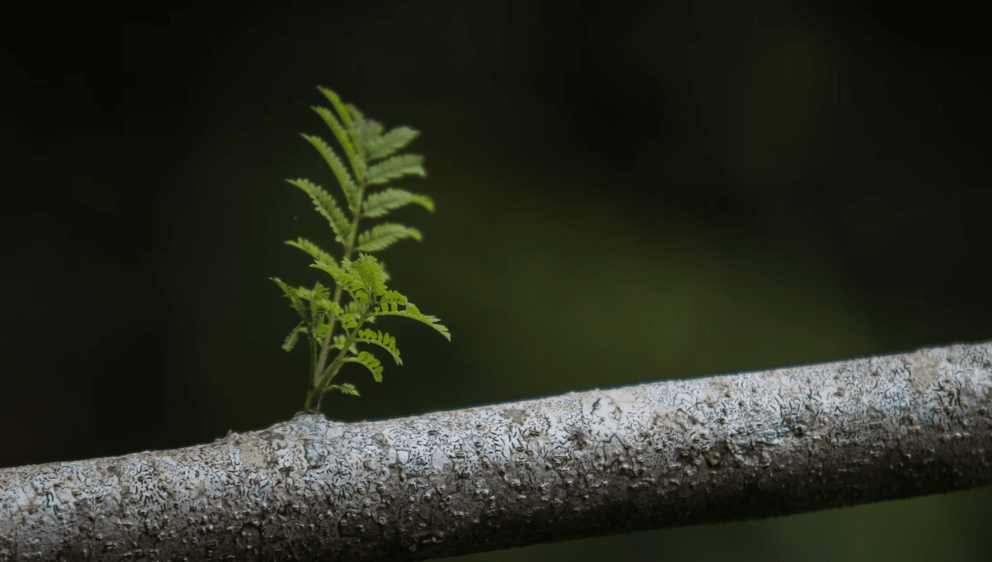 The Power of Shared Knowledge: Leadership, Learning, and the Pursuit of Excellence