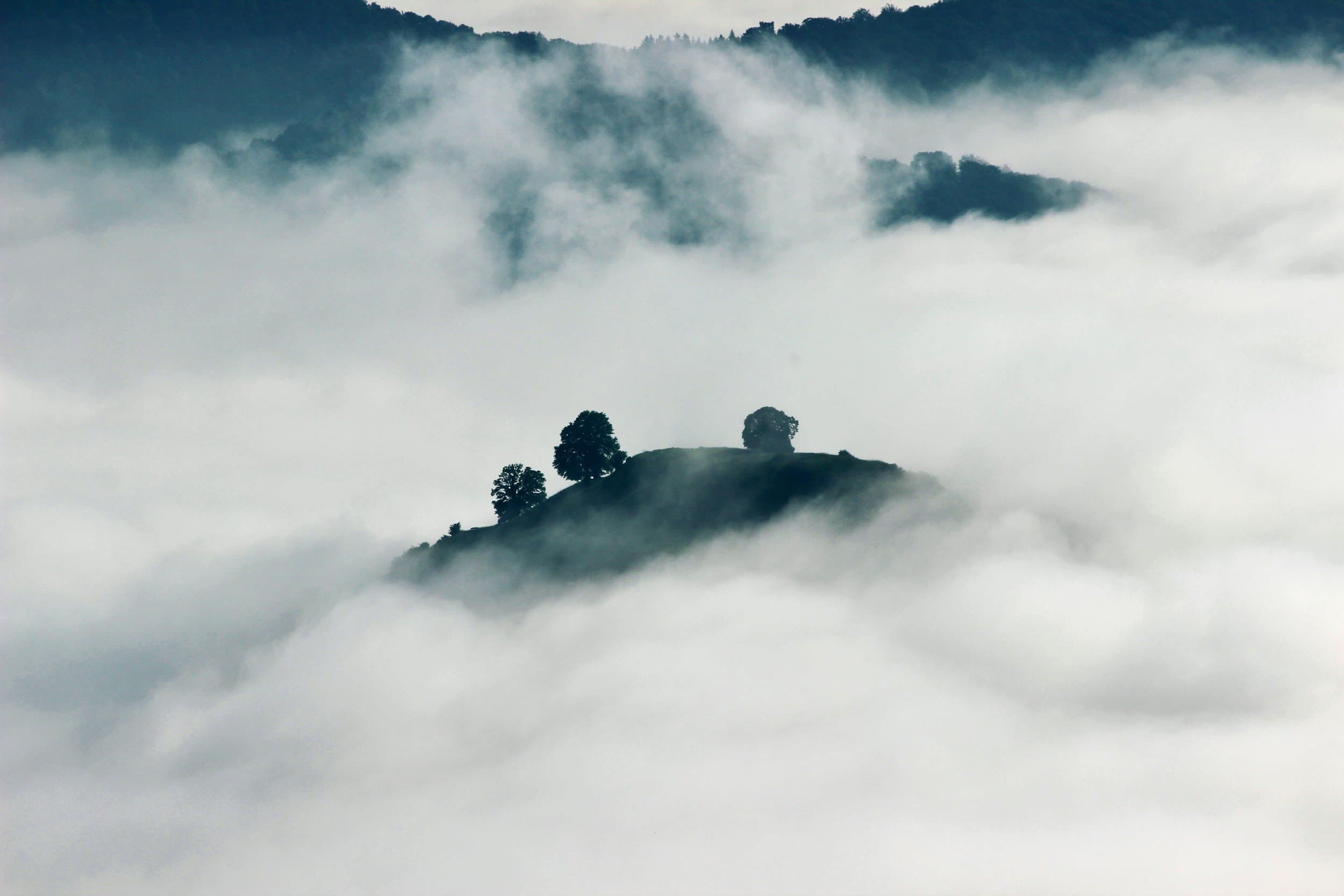 Organizational Behavior: How Professional Intuition Isn’t Just a Gut Feeling