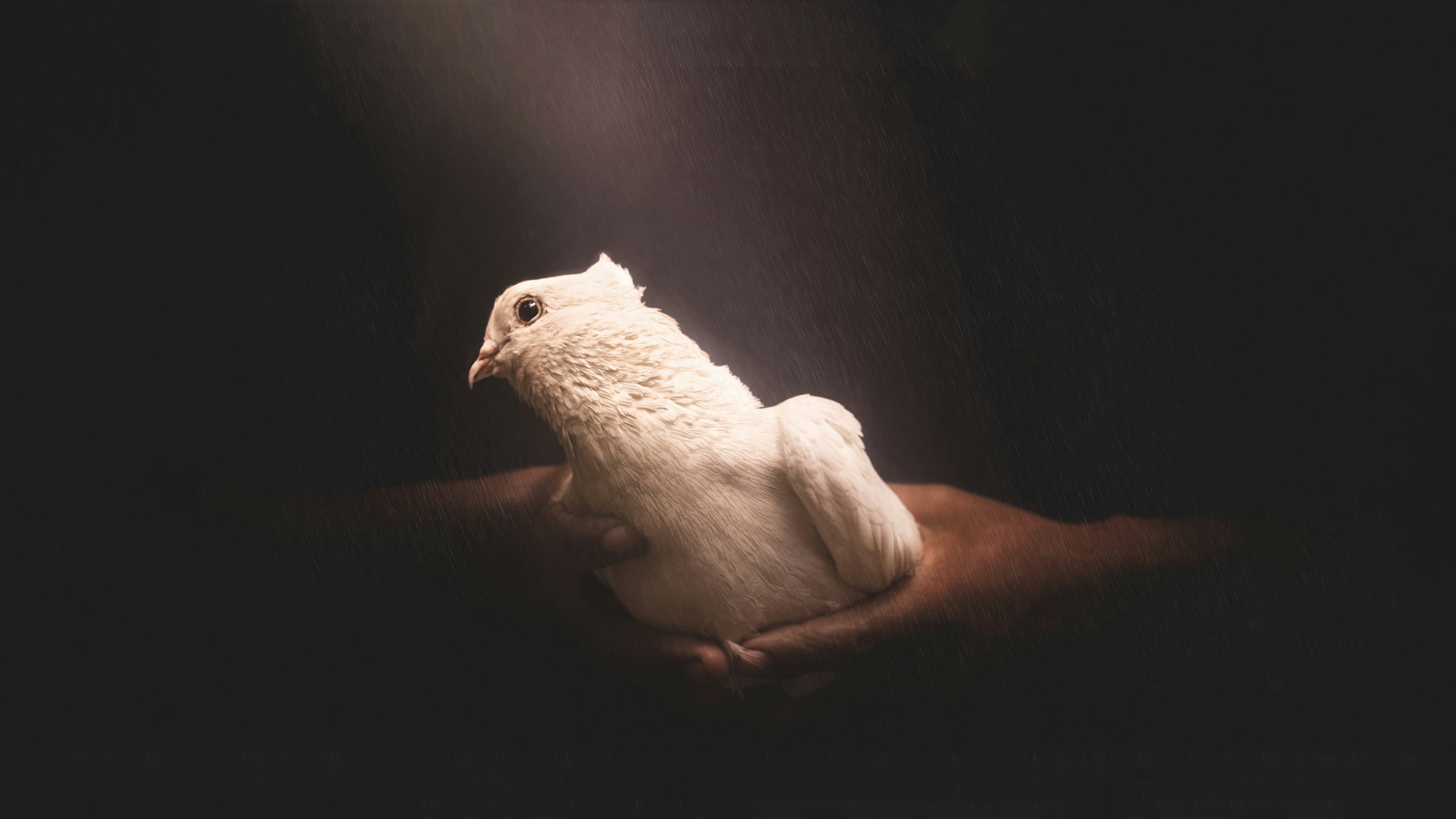 Finding Peace in Chaos: Spiritual Resilience for Officers