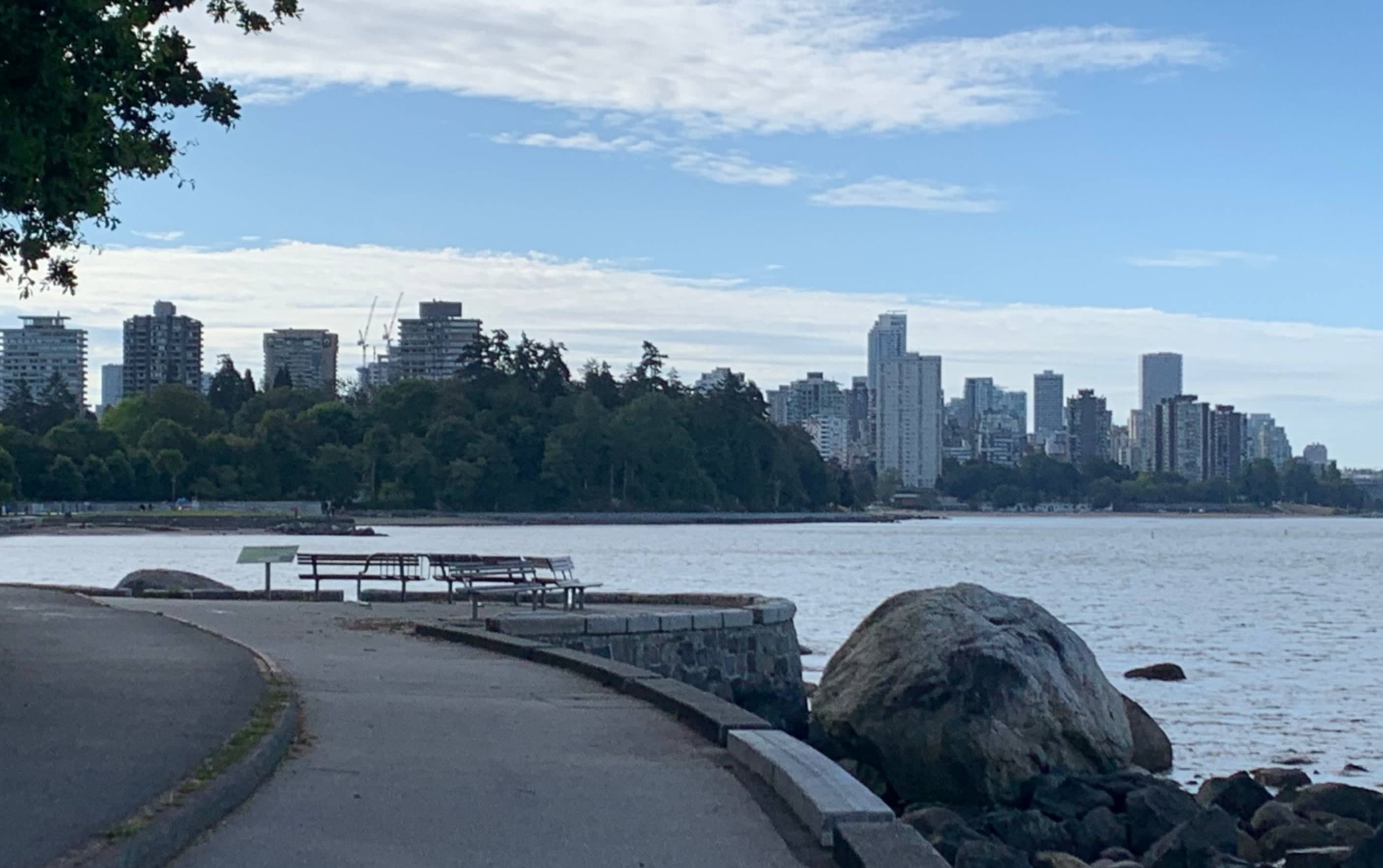 Cover image for Nature Heals, But Is It Inclusive? Urban Wellness Program Solutions