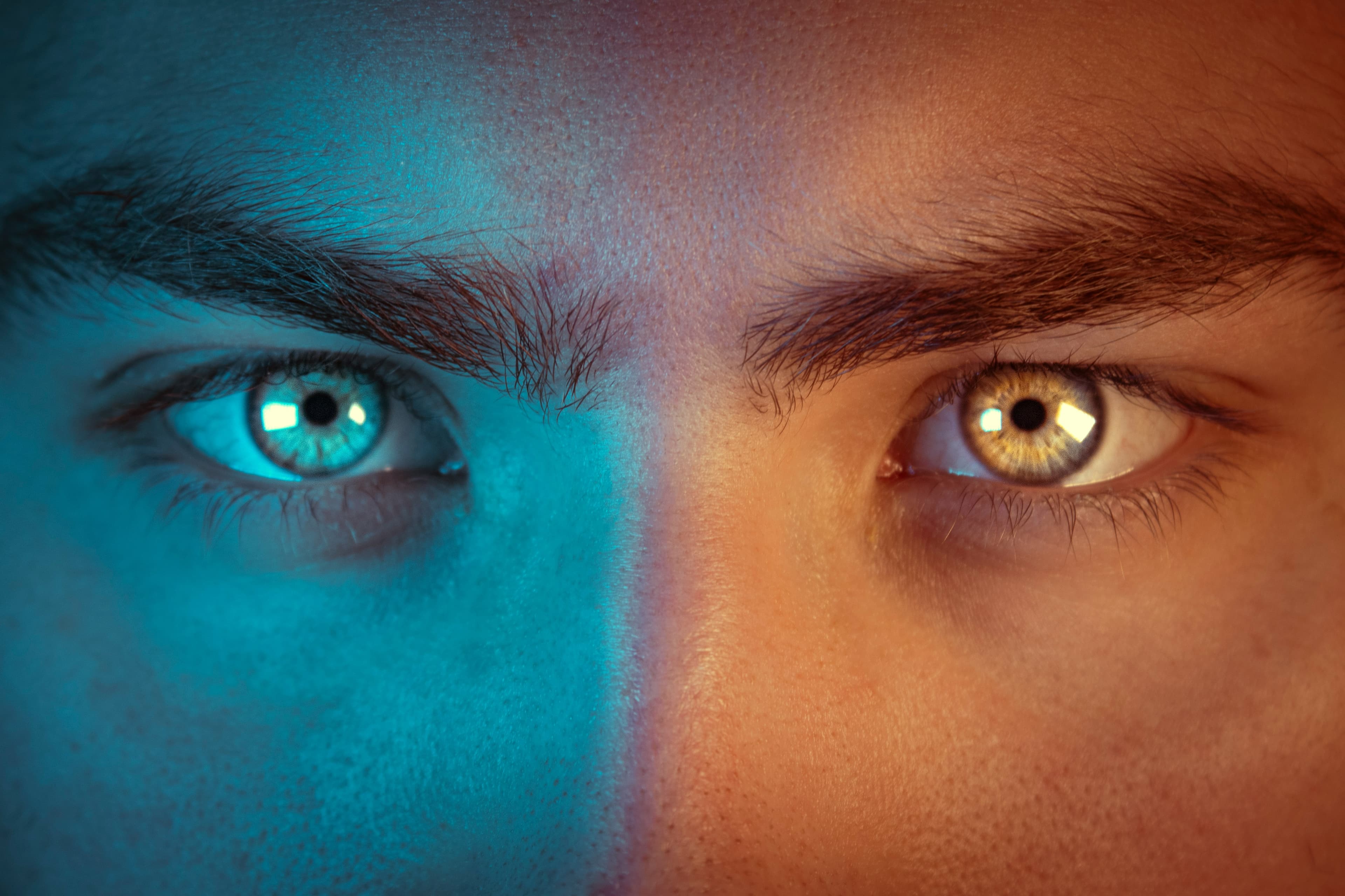 Cover image for Vision Is Contagious, So Is Fear