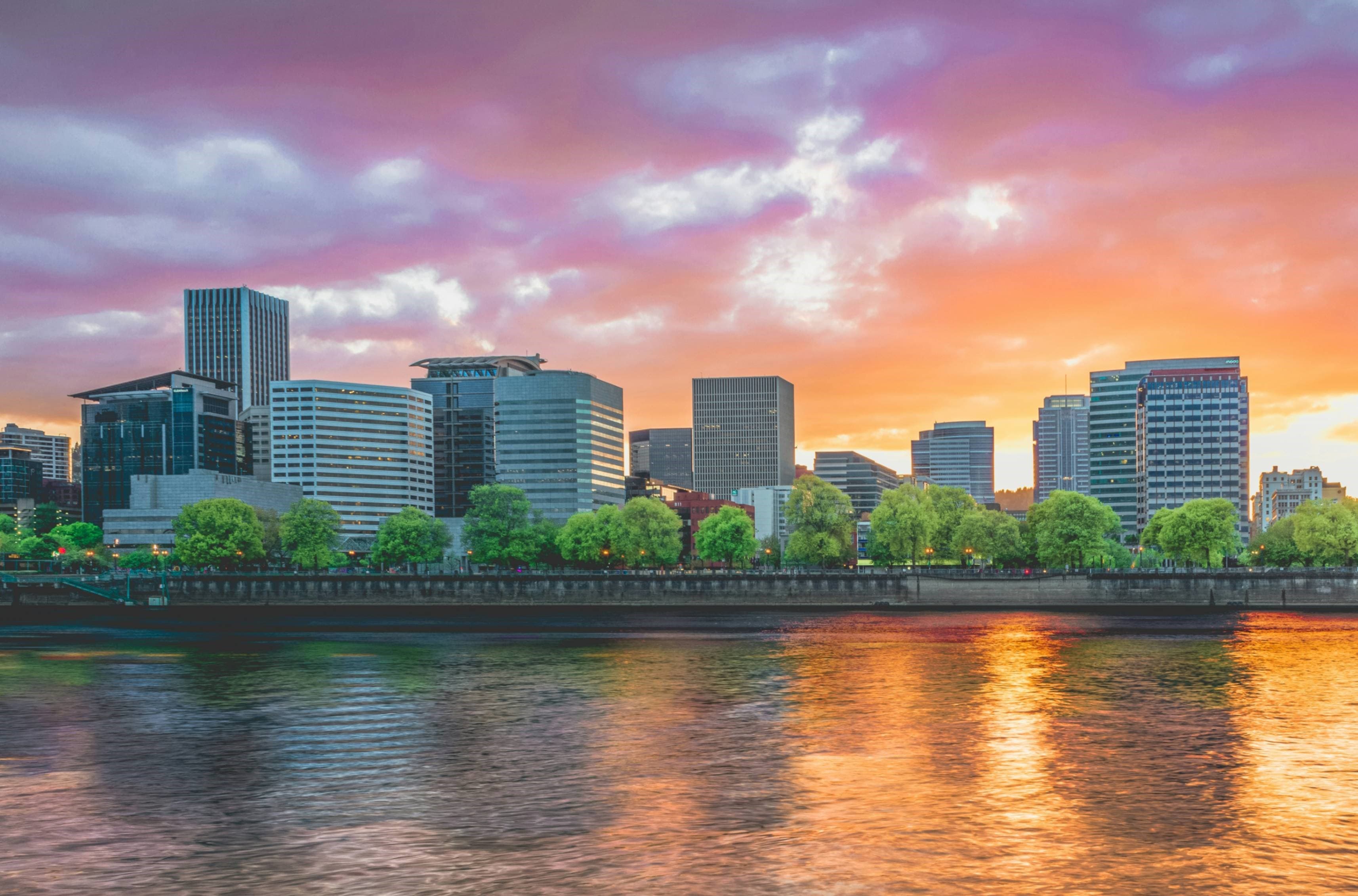 Cover image for Democracy in the Streets: The Promise and Peril of Portland’s Activist Legacy