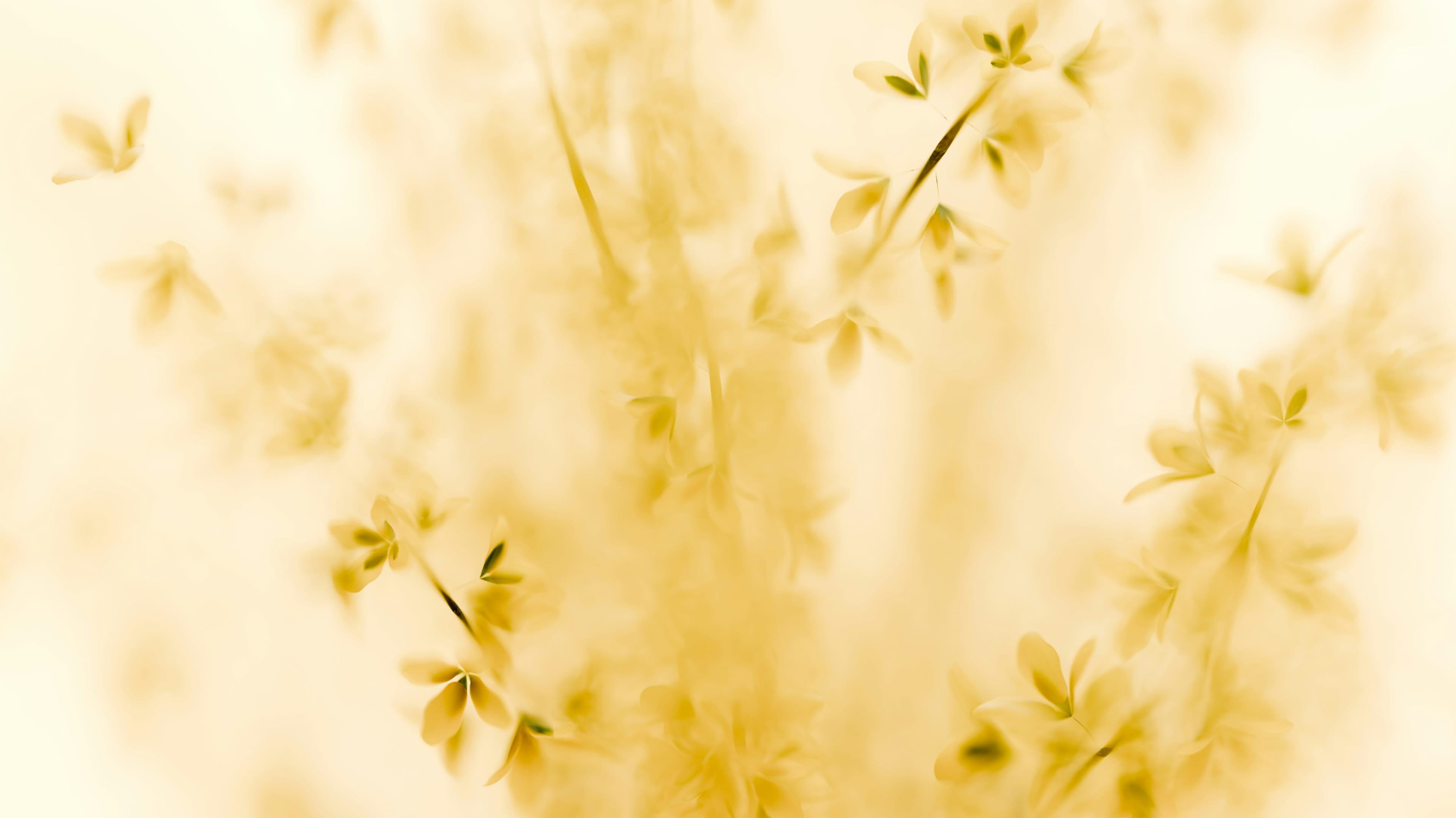 Cover image for The Awkward Moments That Teach Us: Cultural Growth in Military Life