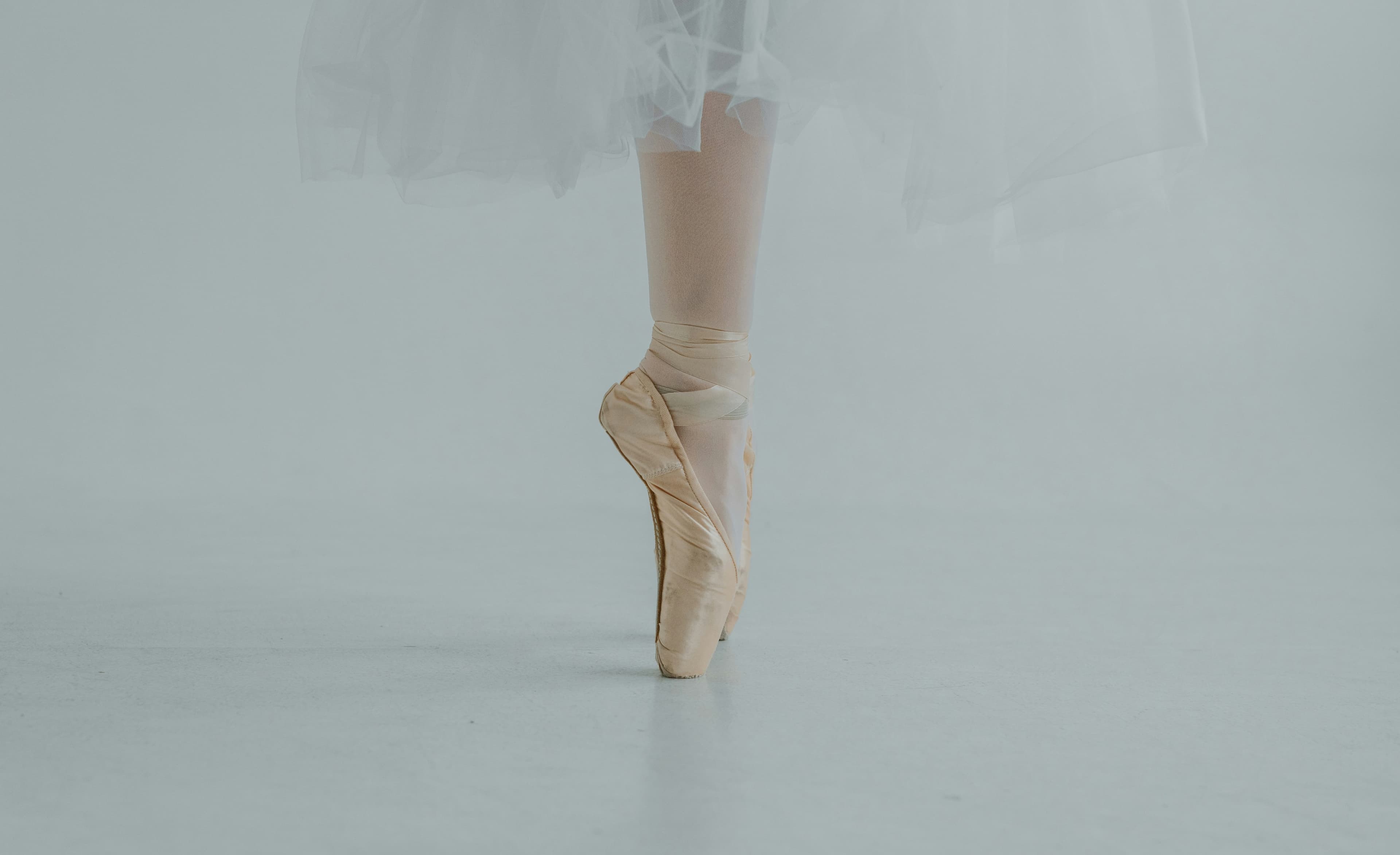 Cover image for The Civic Ballet of Snow: Policy, People, and Plows in Perfect Sync