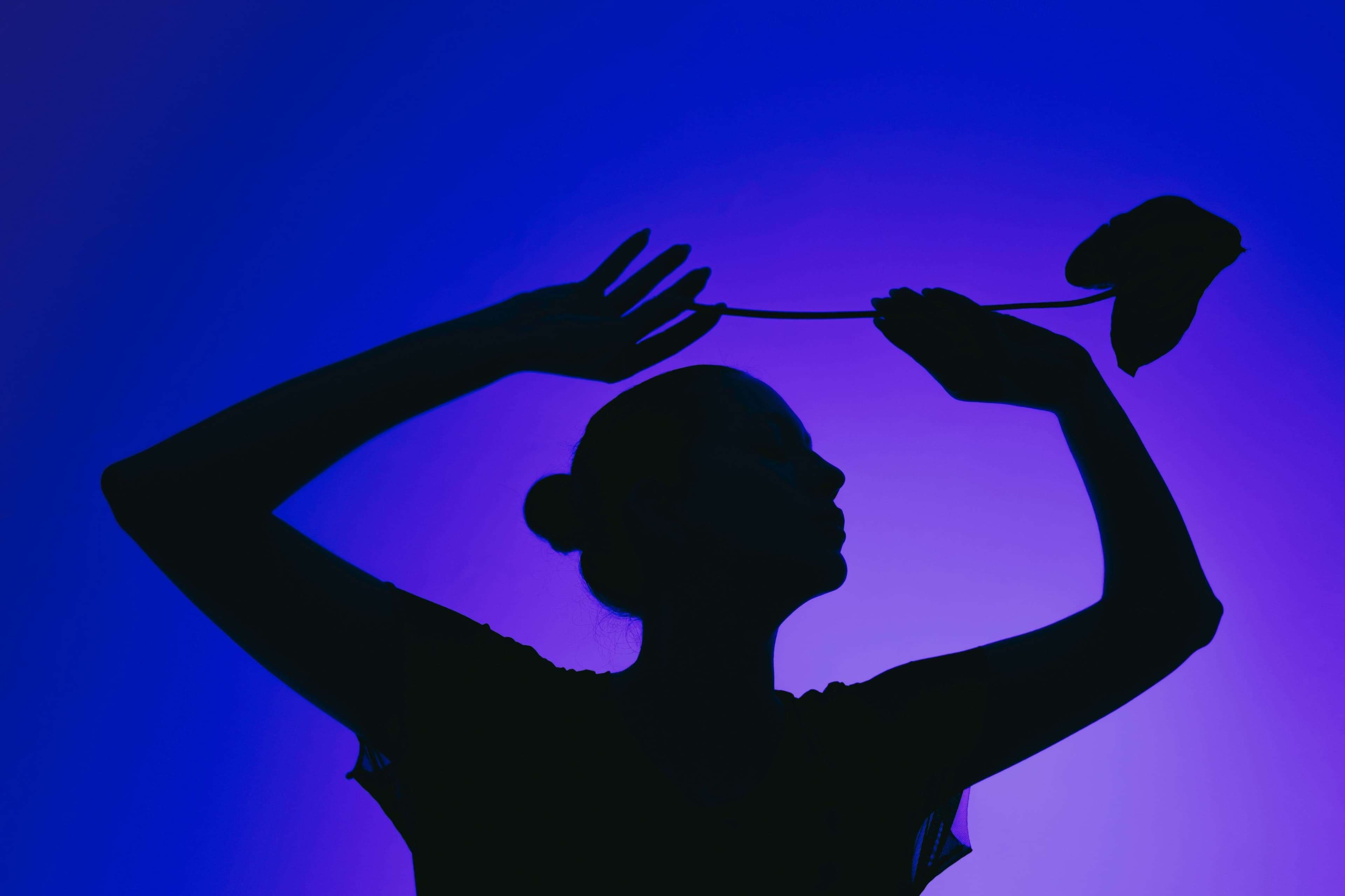 Cover image for Wiring Compassion: The Hidden IT, Training, and Trust That Make Telehealth Work