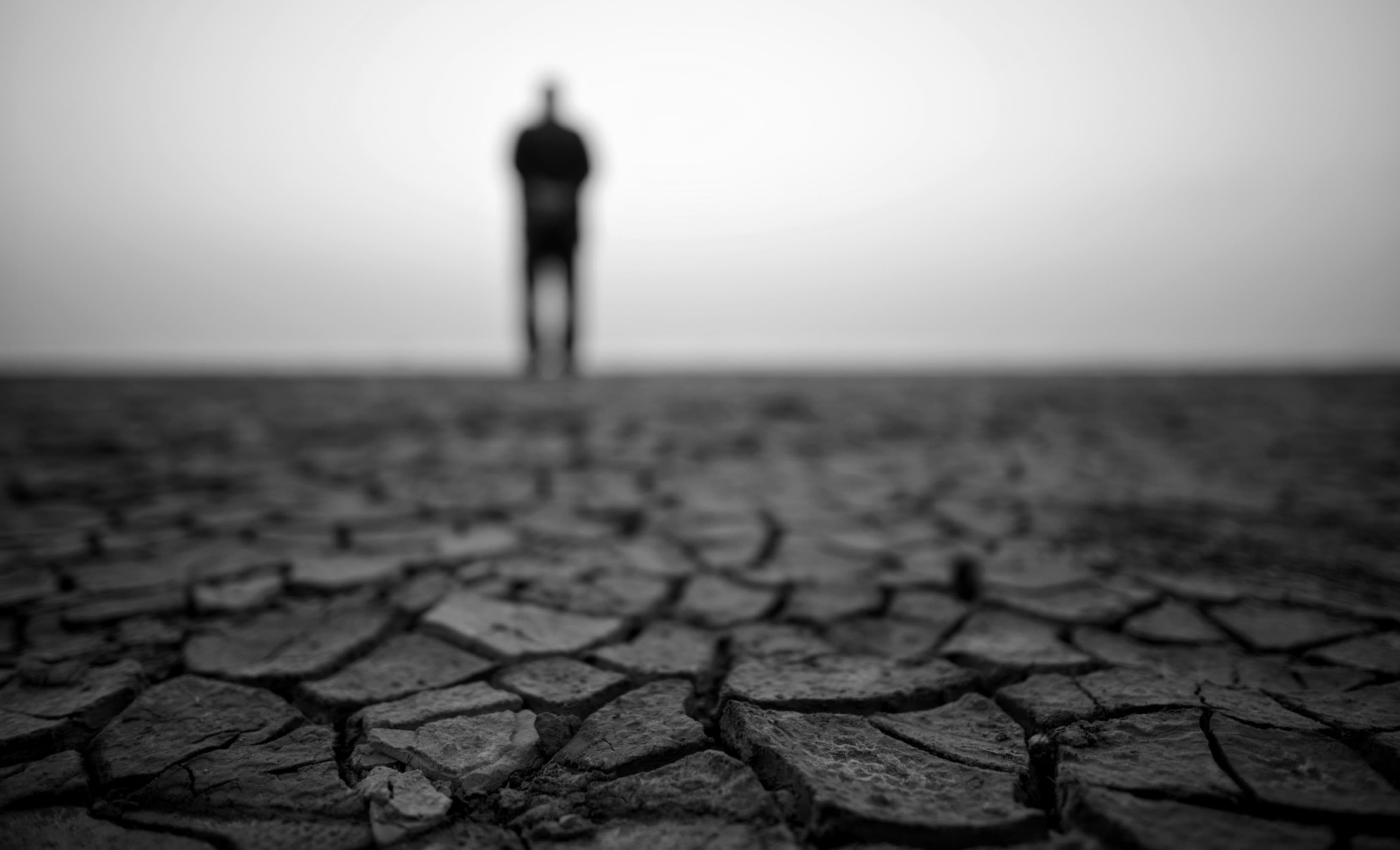 Cover image for Still Standing: Choosing Purpose When the System Feels Fractured