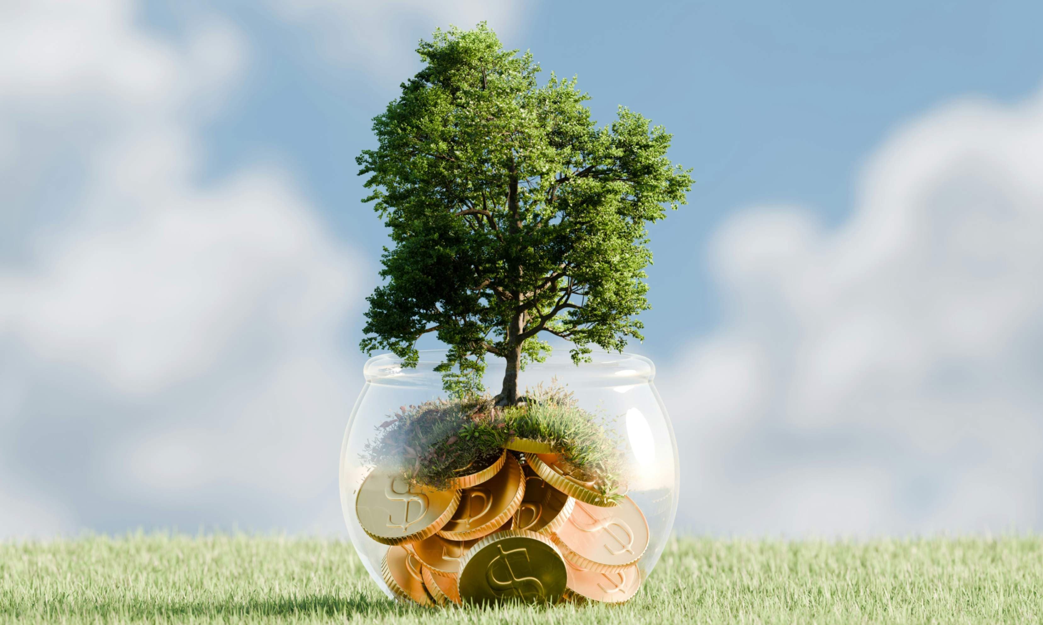 Cover image for From Capital Gains to Community Gains: Building Responsible Prosperity