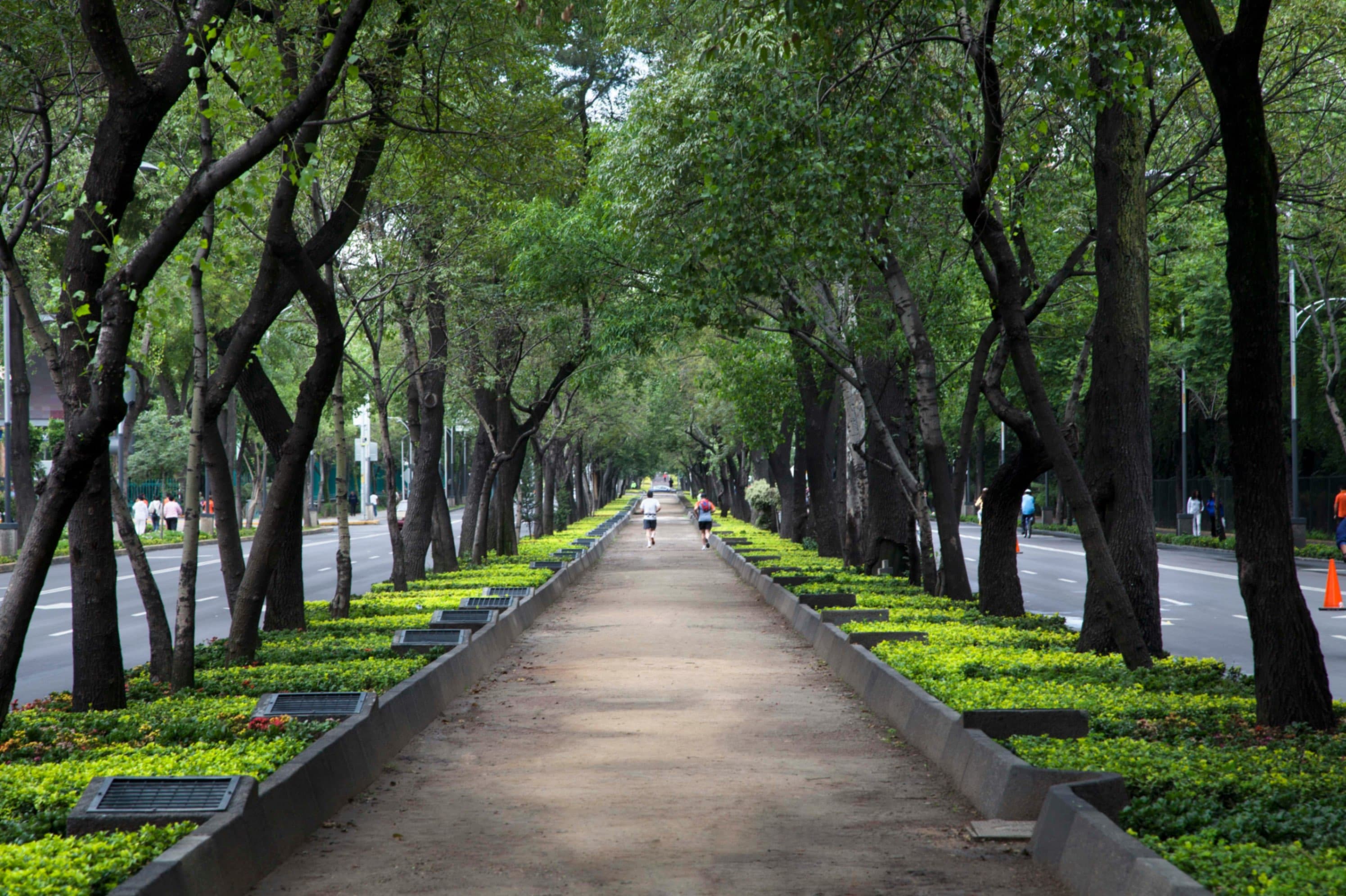 Cover image for Parks as Powerhouses: How Green Spaces Drive Urban Revitalization and Growth