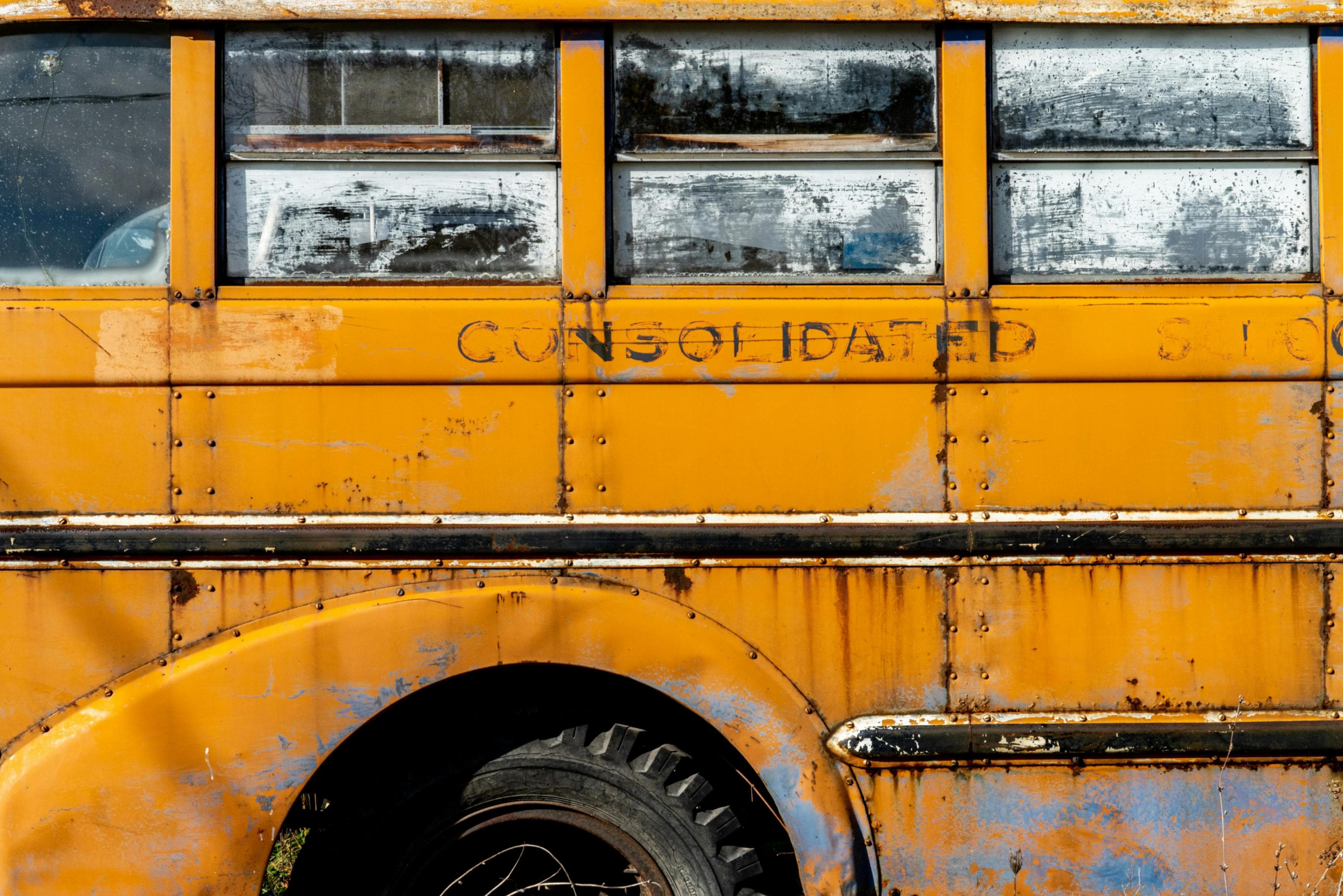 Cover image for Lessons in Resilience: Preparing Schools for the Next Big Disruption