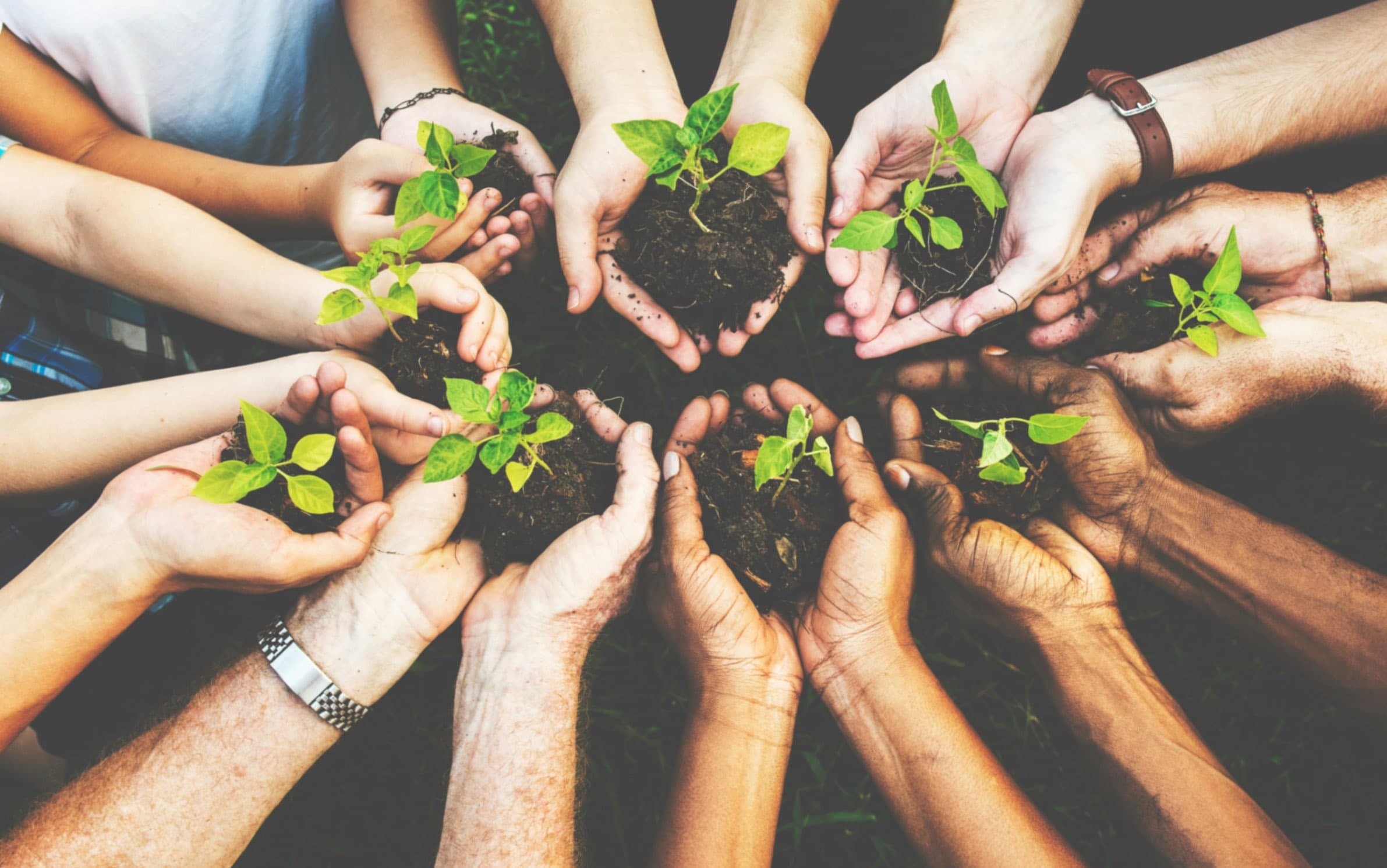 Cover image for Roots and Responsibility: How Sustainable Land Use Can Save Our Future