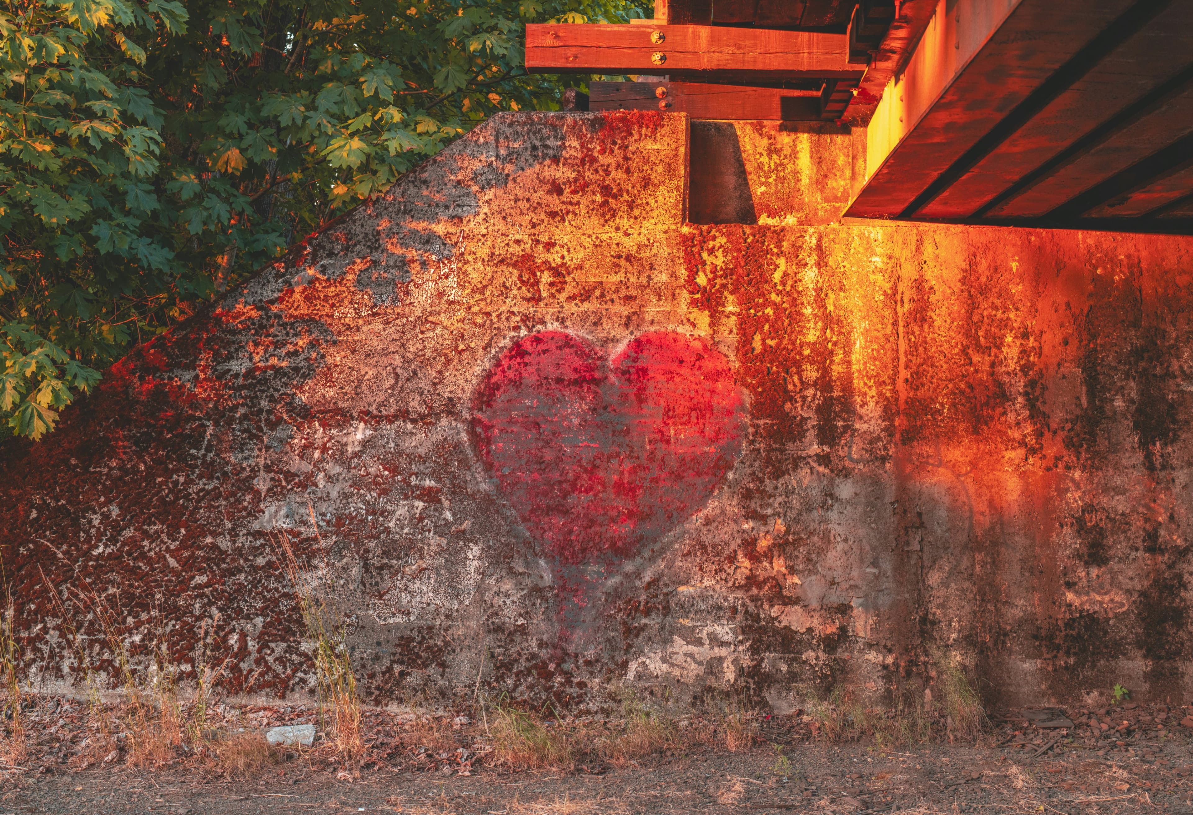 Cover image for From Disconnection to Resilience: Schools’ Role in Emotional Healing