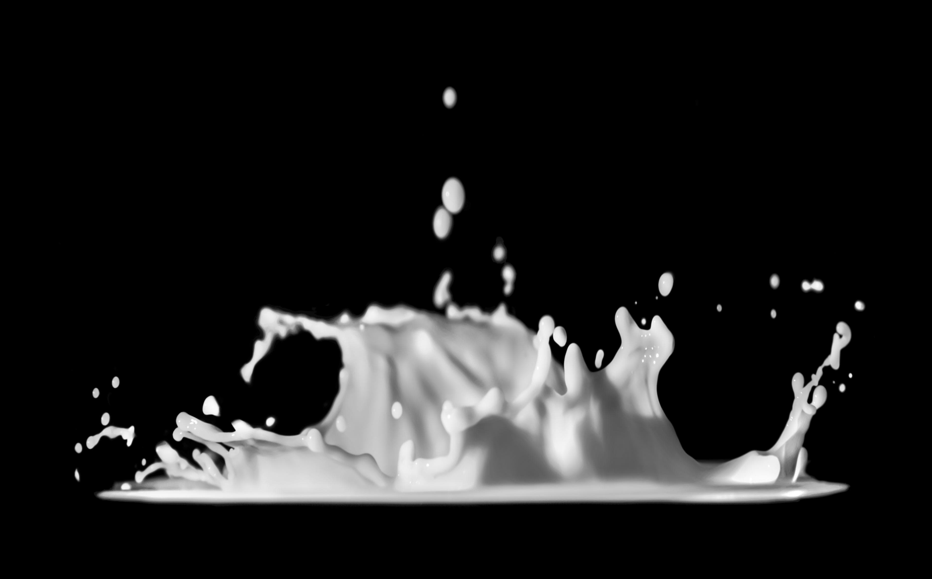 Cover image for The Spill Before the Chill: How 2% Milk Taught Me 100% Patience