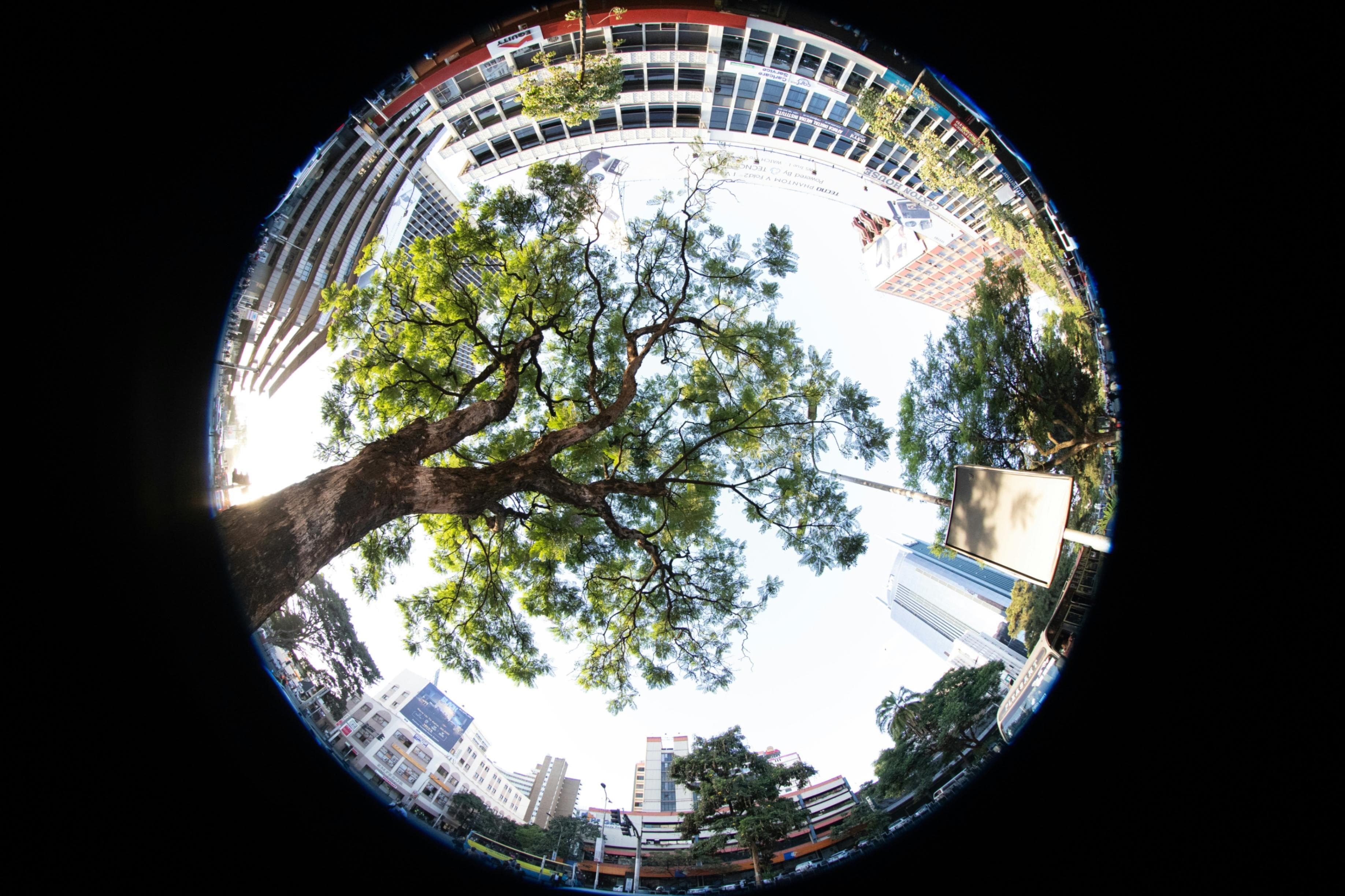 Cover image for Circular Communities: Reinventing City Life Through Shared Systems