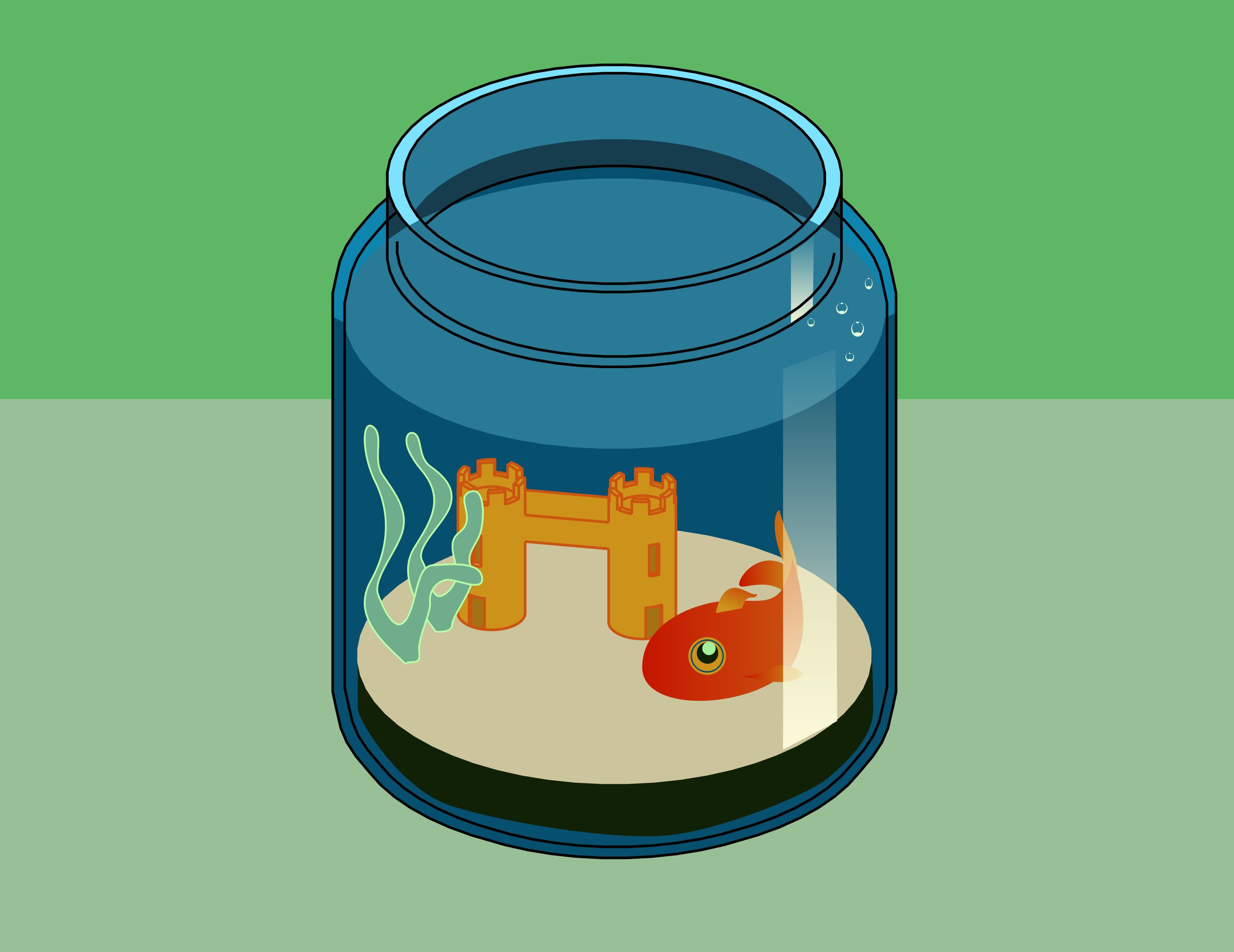 Cover image for The Fishbowl Effect: Why Talent Alone Will Never Be Enough