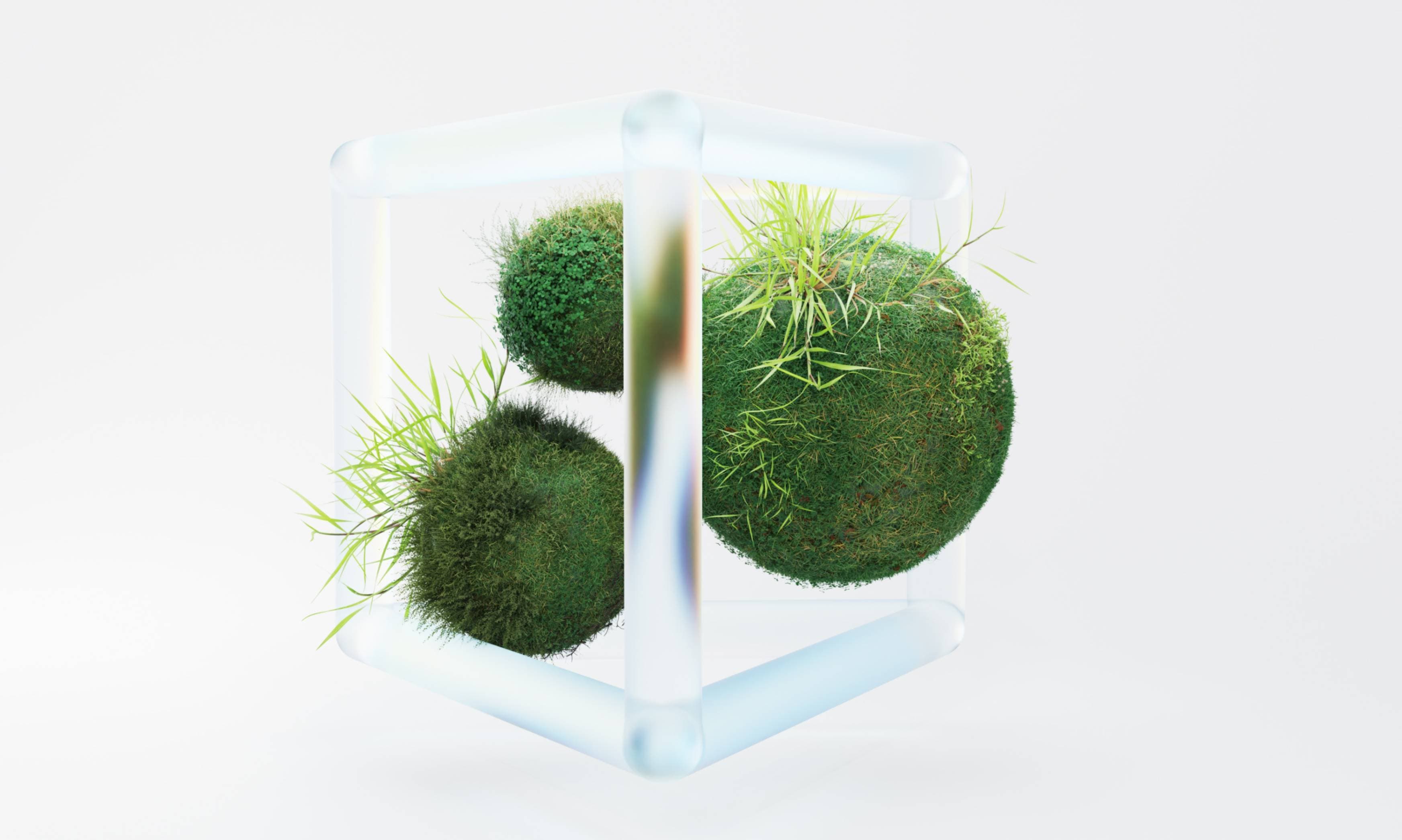 Cover image for Redefining Sustainability: Literacy, Policy, and the New Civic Infrastructure