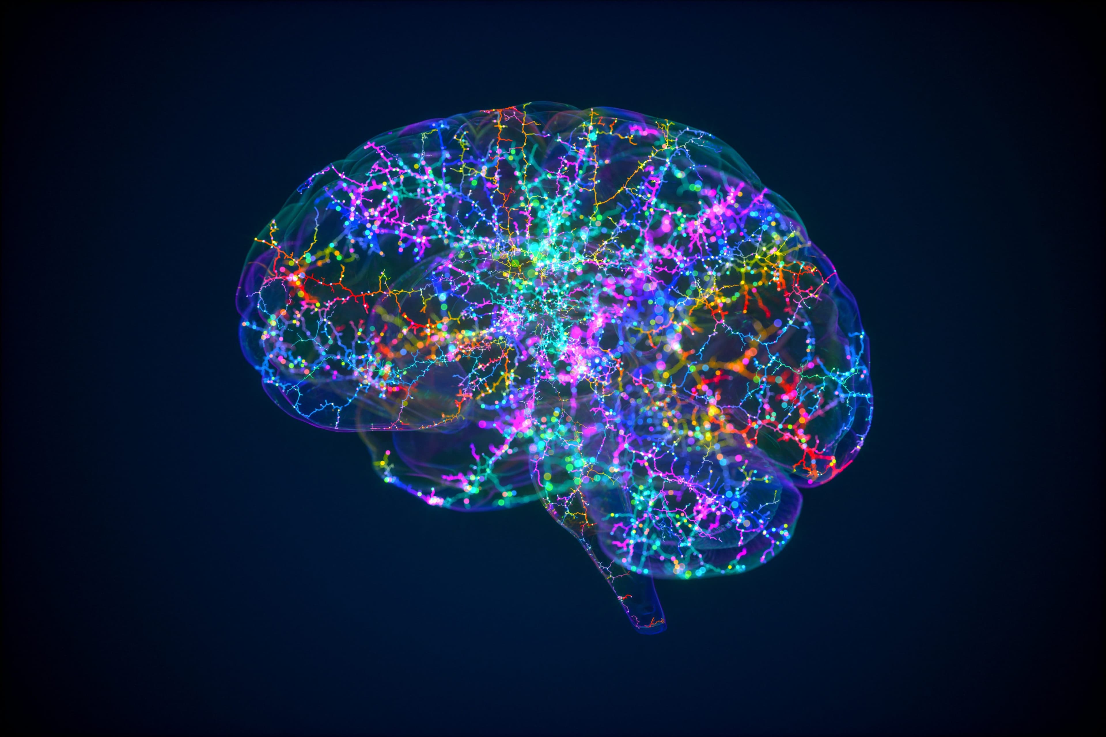 Cover image for Policy Dumps to Practice Reps: Reducing Cognitive Overload in Municipal Onboarding