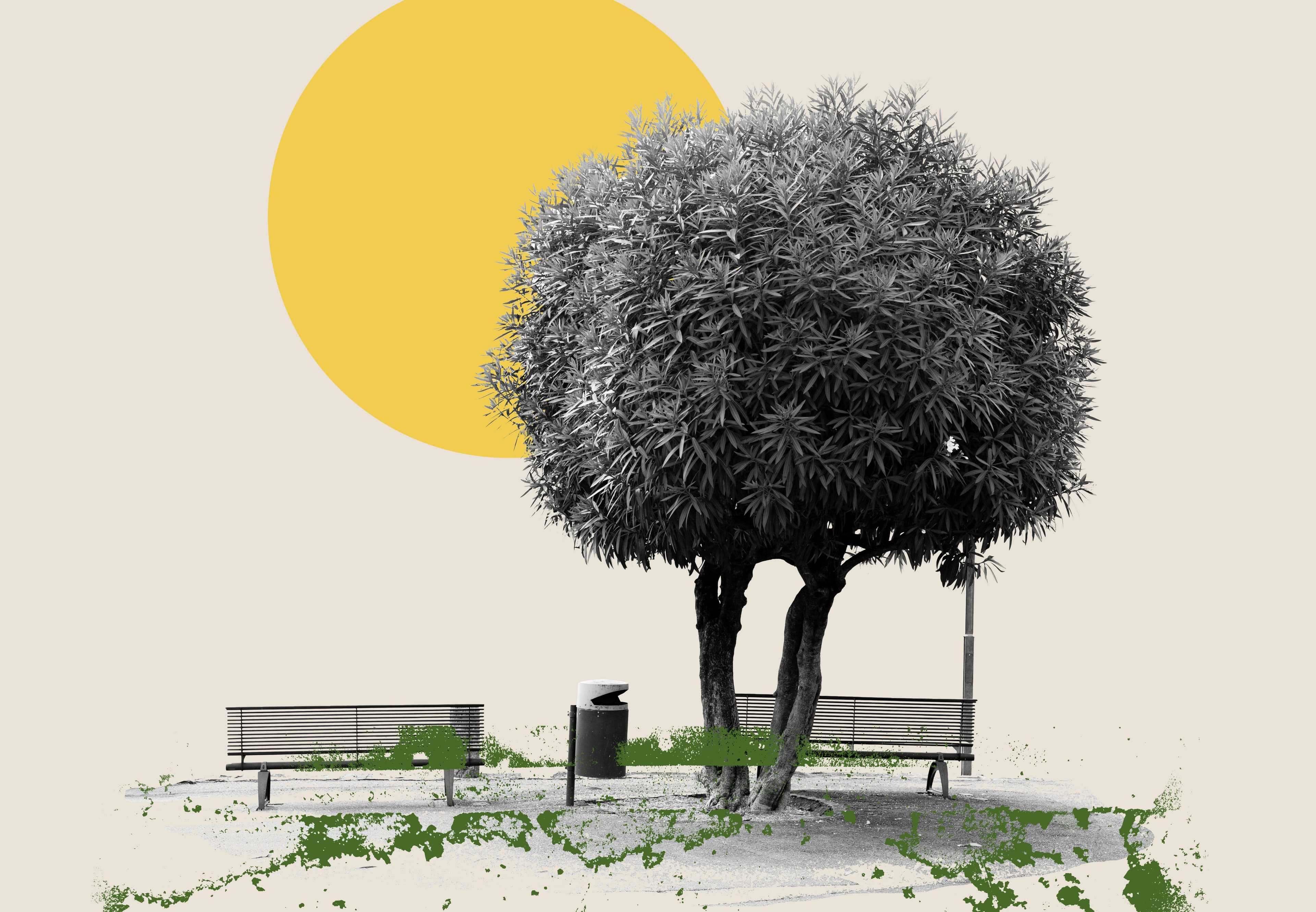 Cover image for Integrating Purpose with Health and Mental Wellness Strategies