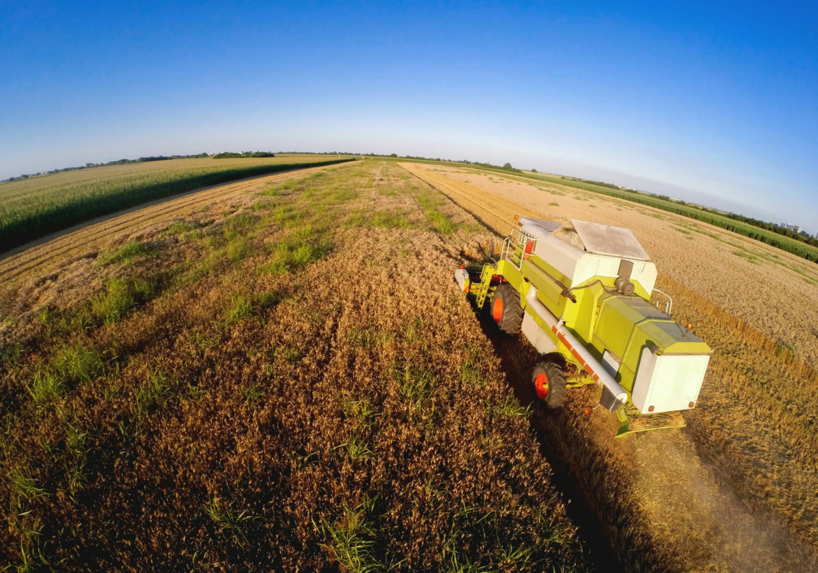 Cover image for Remote Sensing and Precision Agriculture: A New Era of Field Management