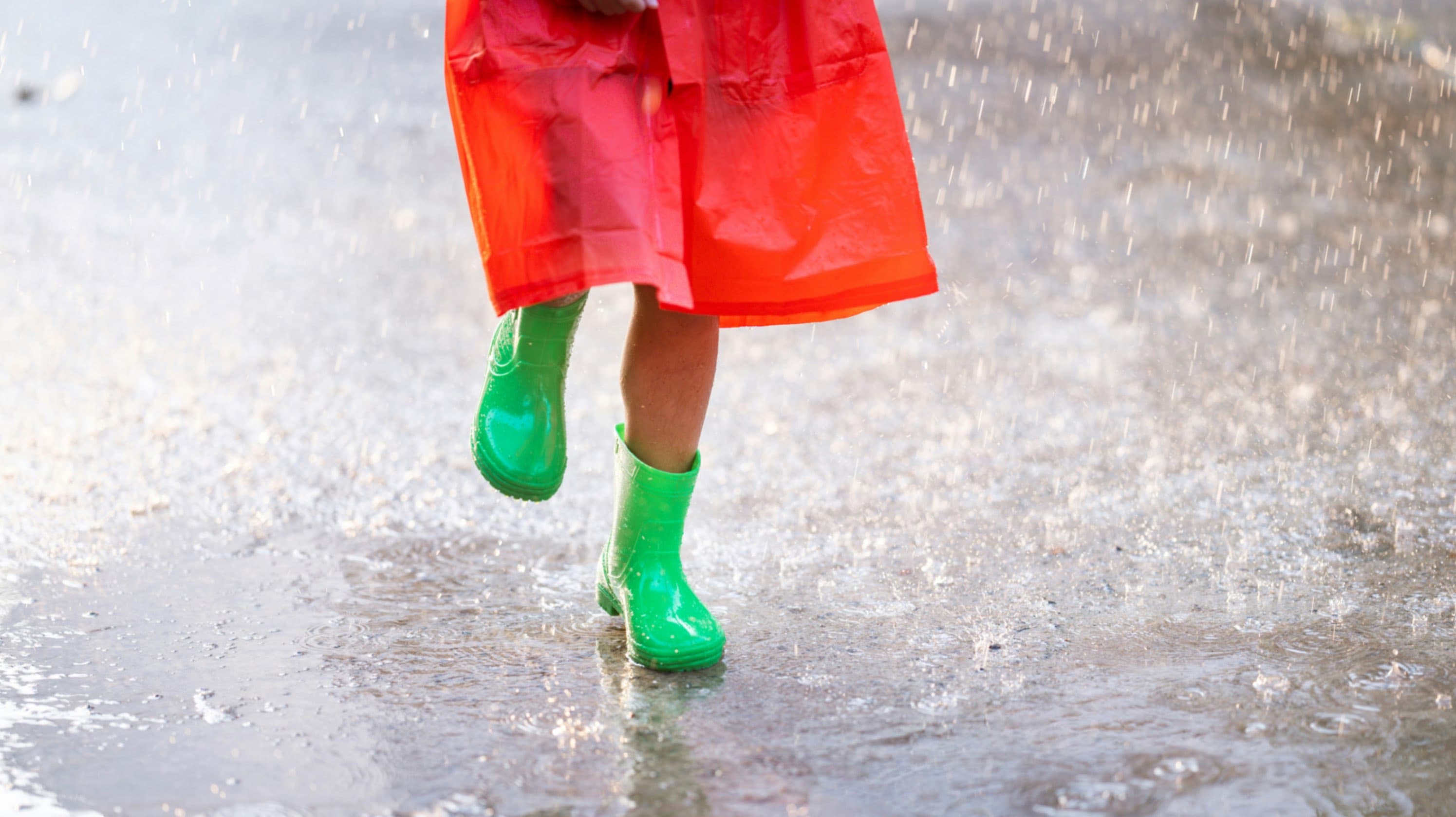 Cover image for Dear Preschool Teachers: They Already Know It’s Raining