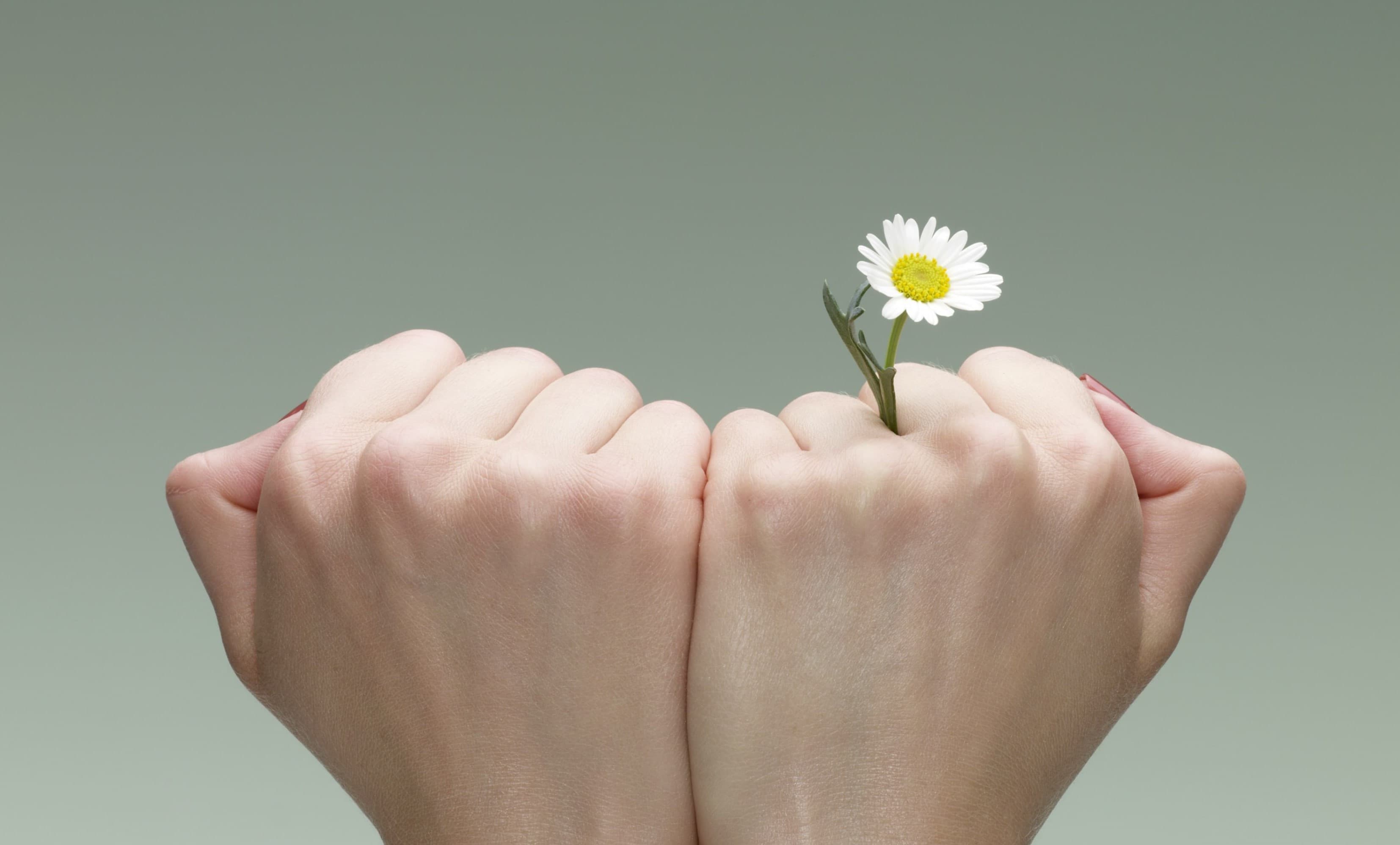 Cover image for Integrating Emotional Fortitude into Departmental Culture