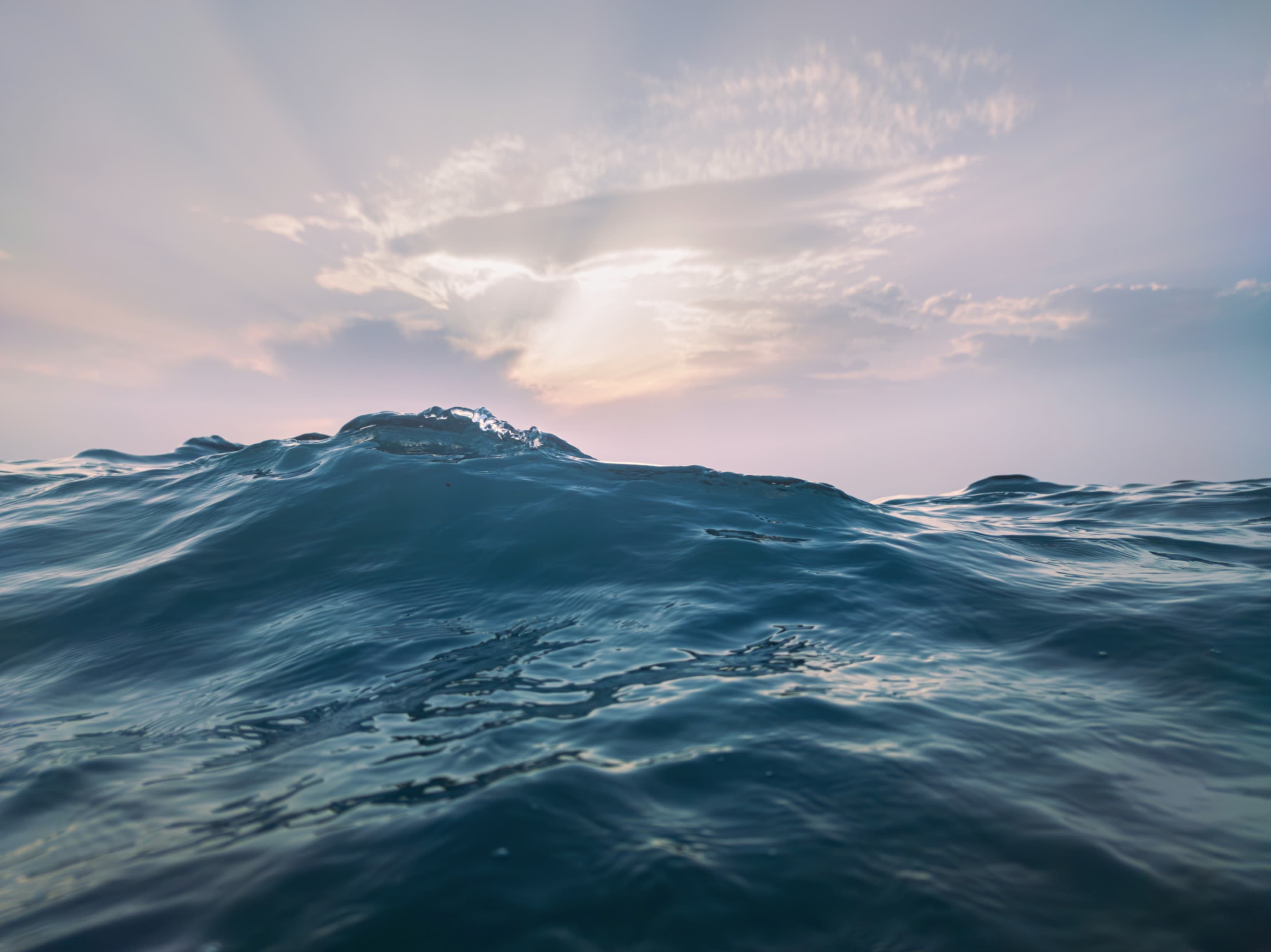 Cover image for The Ocean Is Speaking- But Are We Still Ignoring It?