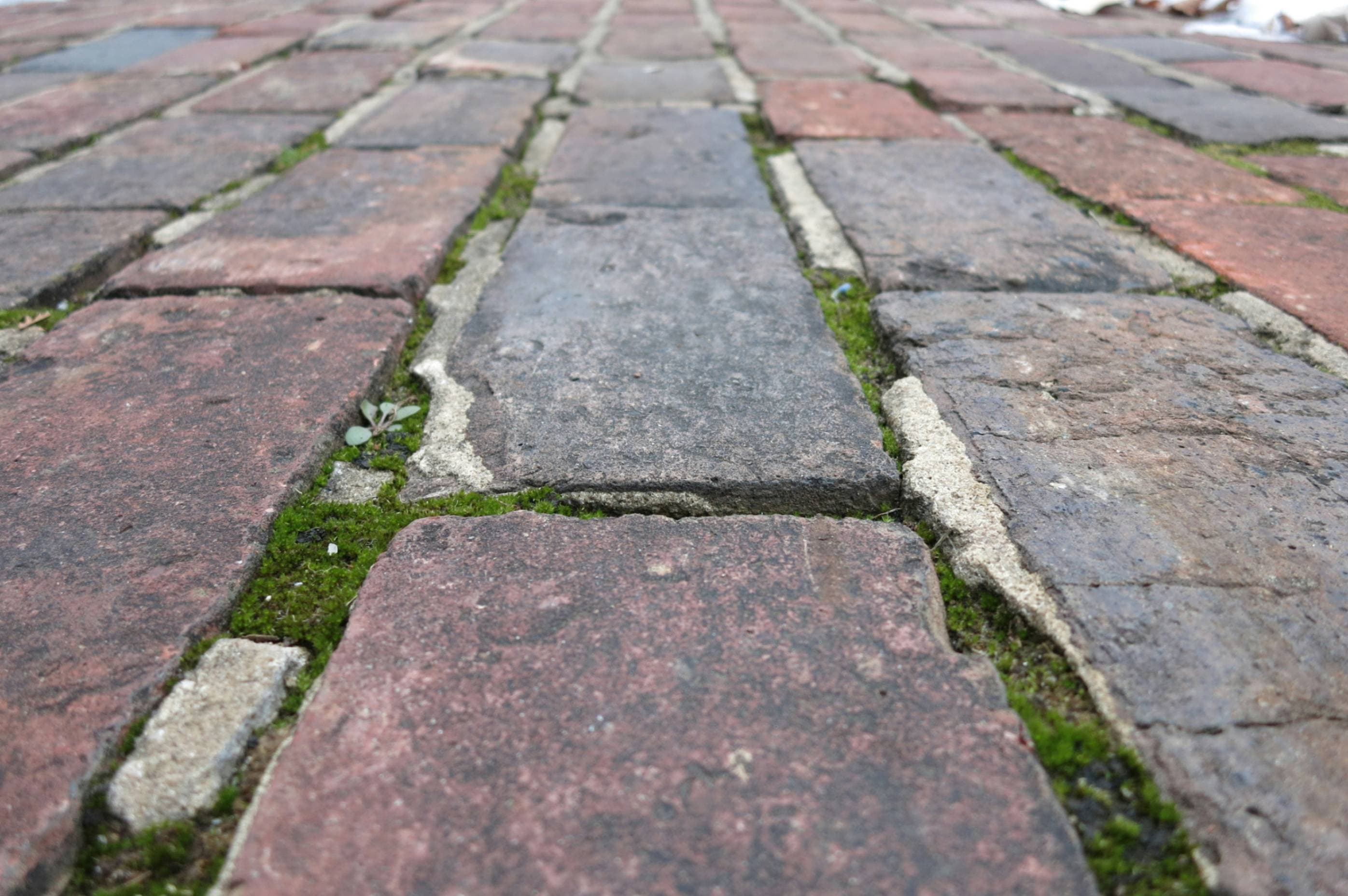 Cover image for What the Army Knows About Patching Streets and Keeping the Water On”