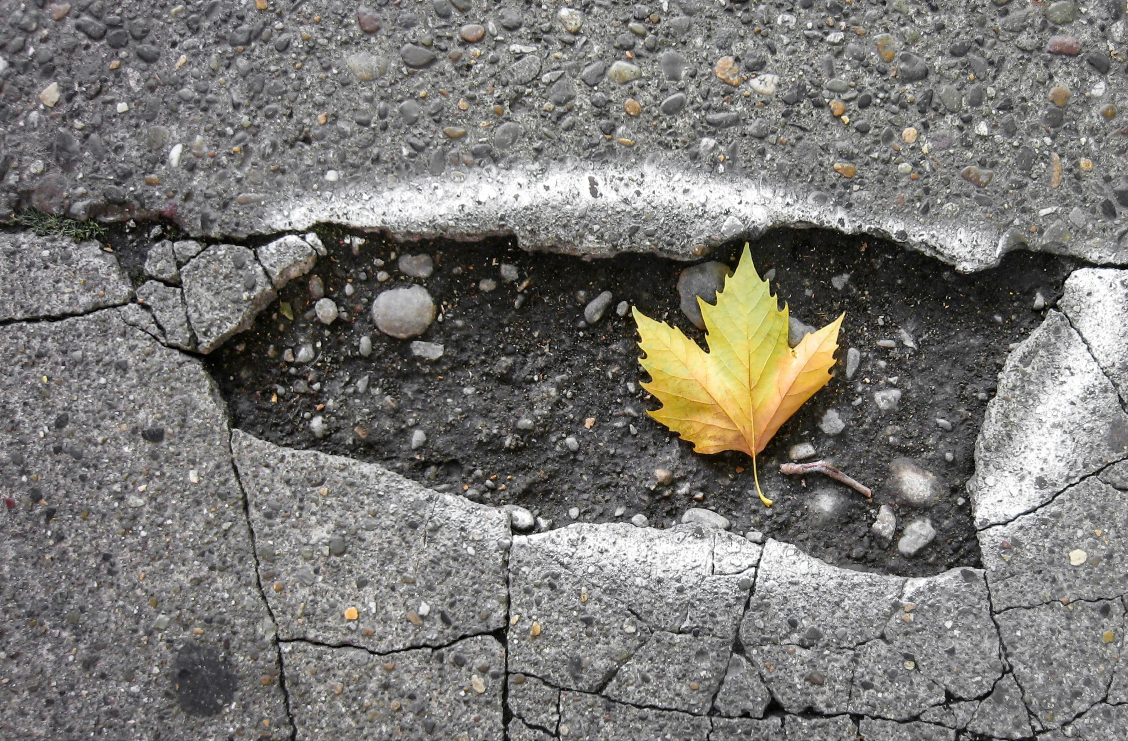 Cover image for Avoiding the Potholes: Leadership Lessons in City Project Management