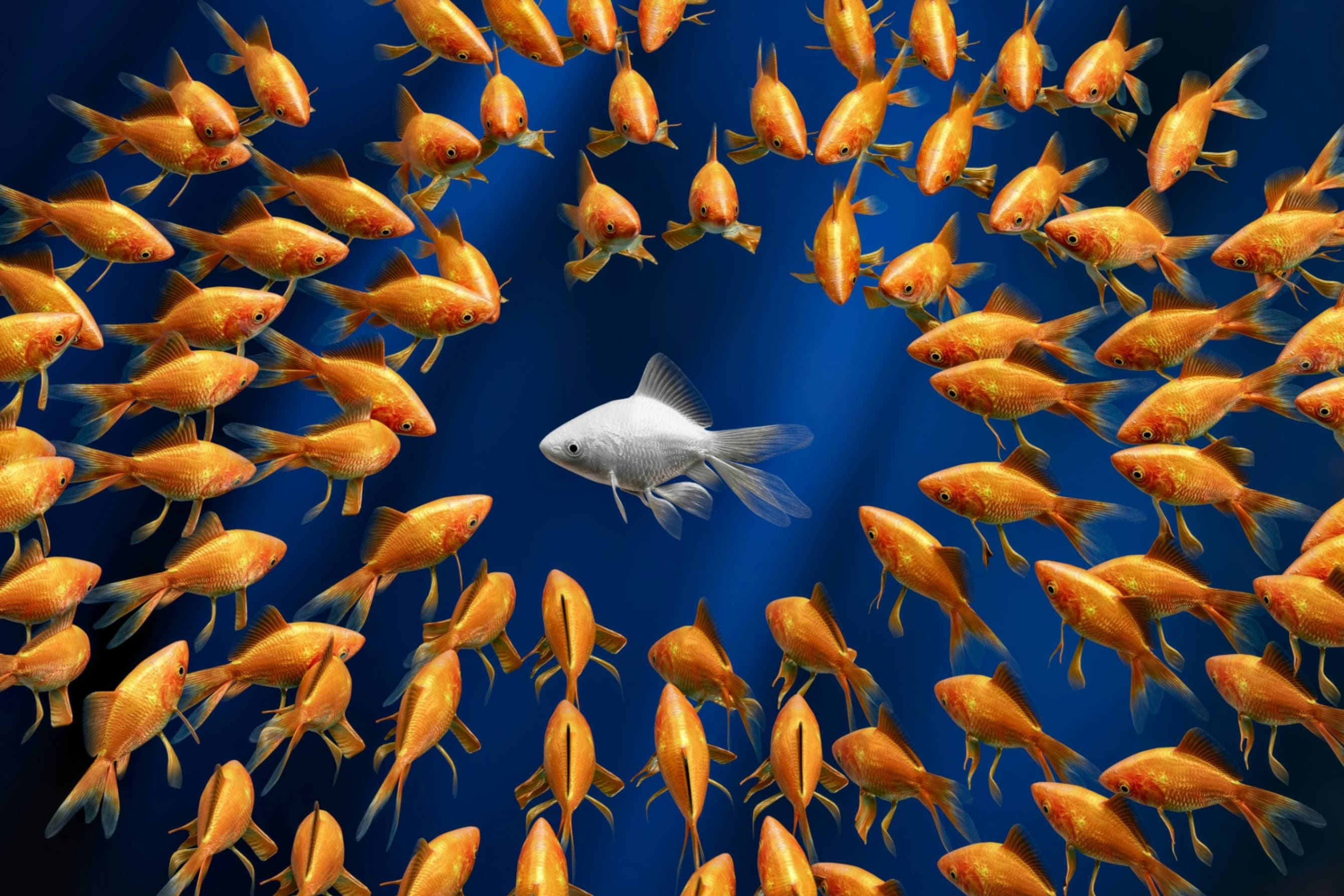 Cover image for Leadership Redefined: Why Soft Skills Drive Hard Results