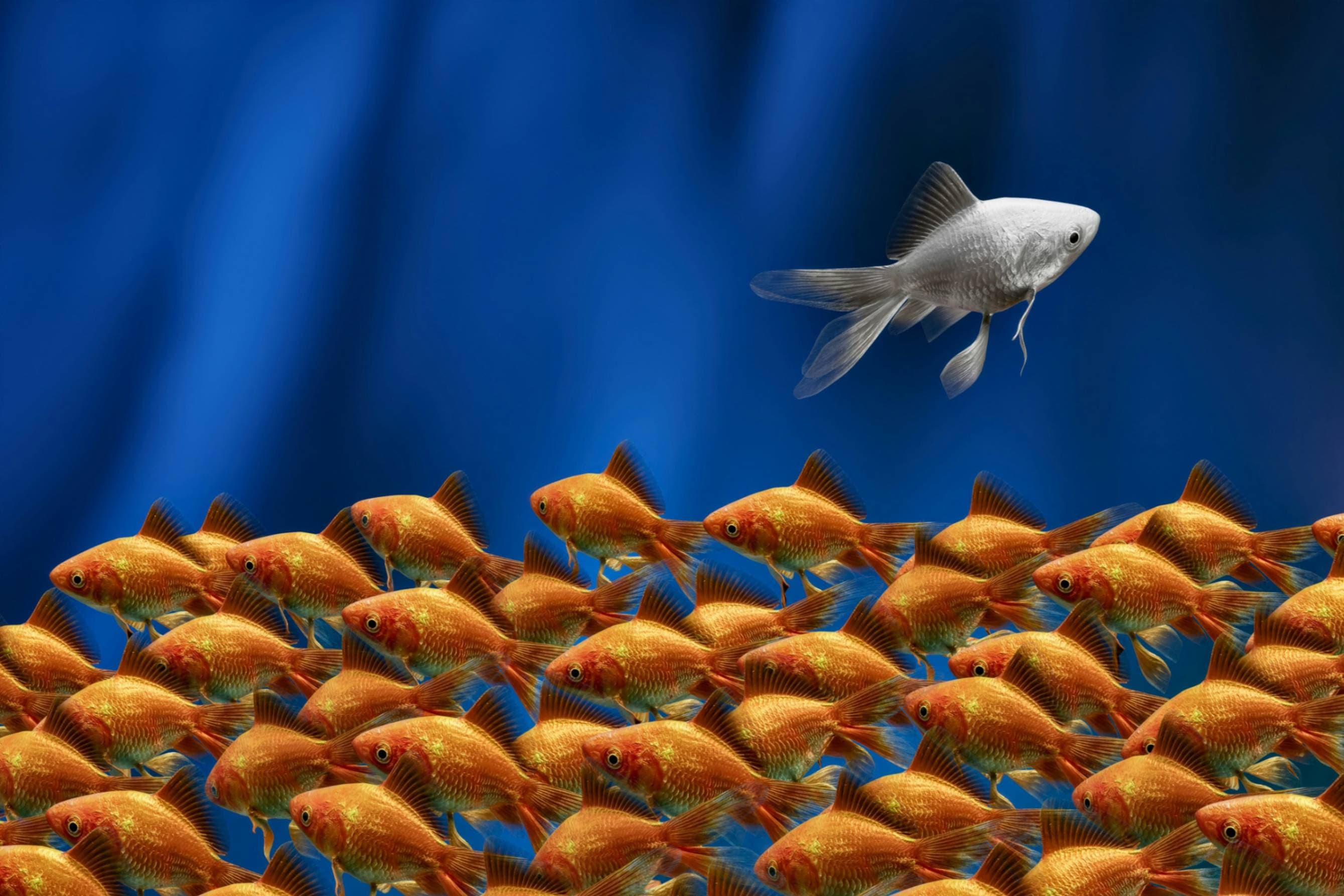 Cover image for Inclusivity in Action: How Municipalities Can Hire for True Leadership Potential