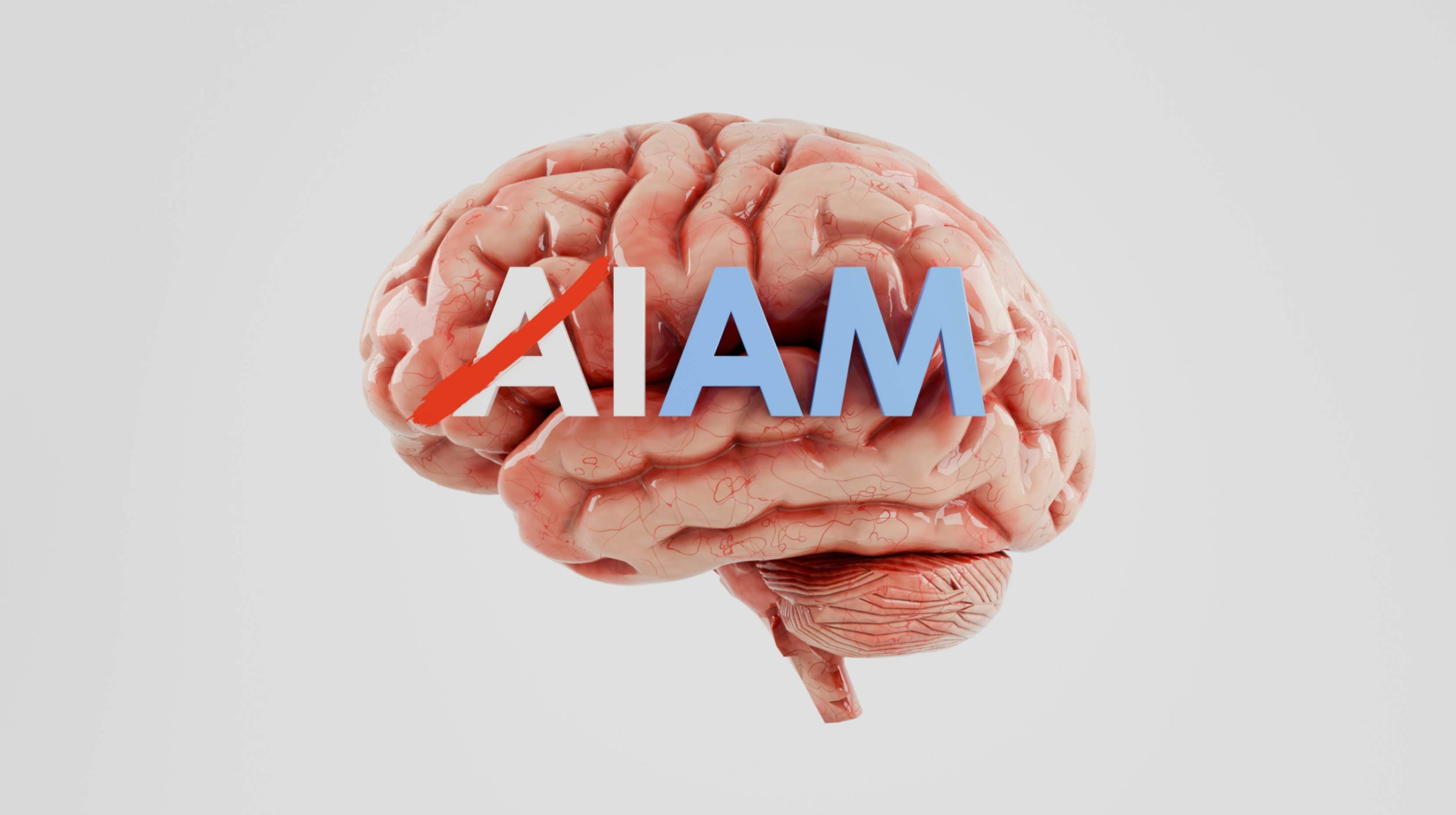 Cover image for The Human Algorithm: Designing AI That Reflects Our Values