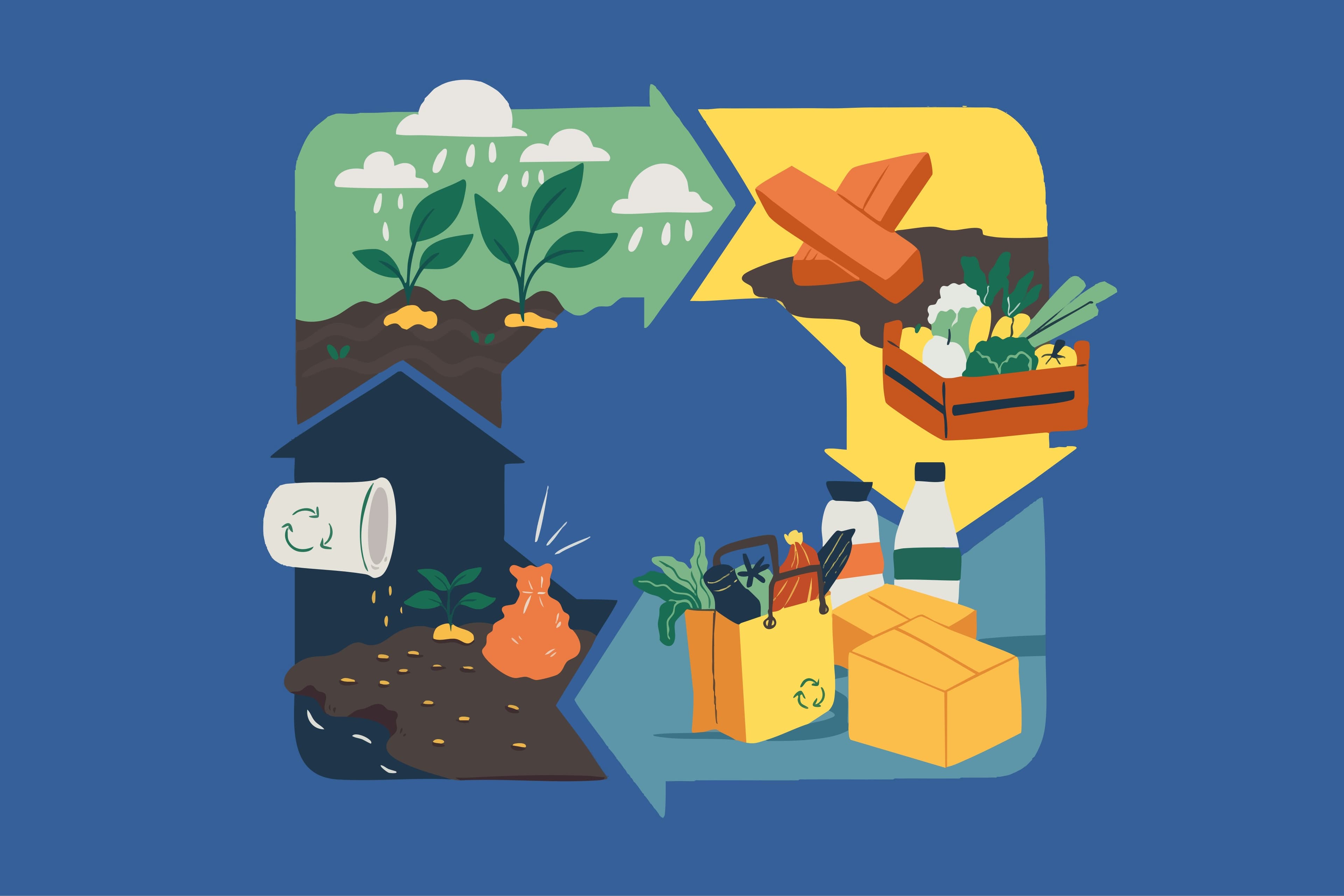 Cover image for Farm to Supermarket to Compost Bin: Why Cities Need a Cradle-to-Cradle Food Policy