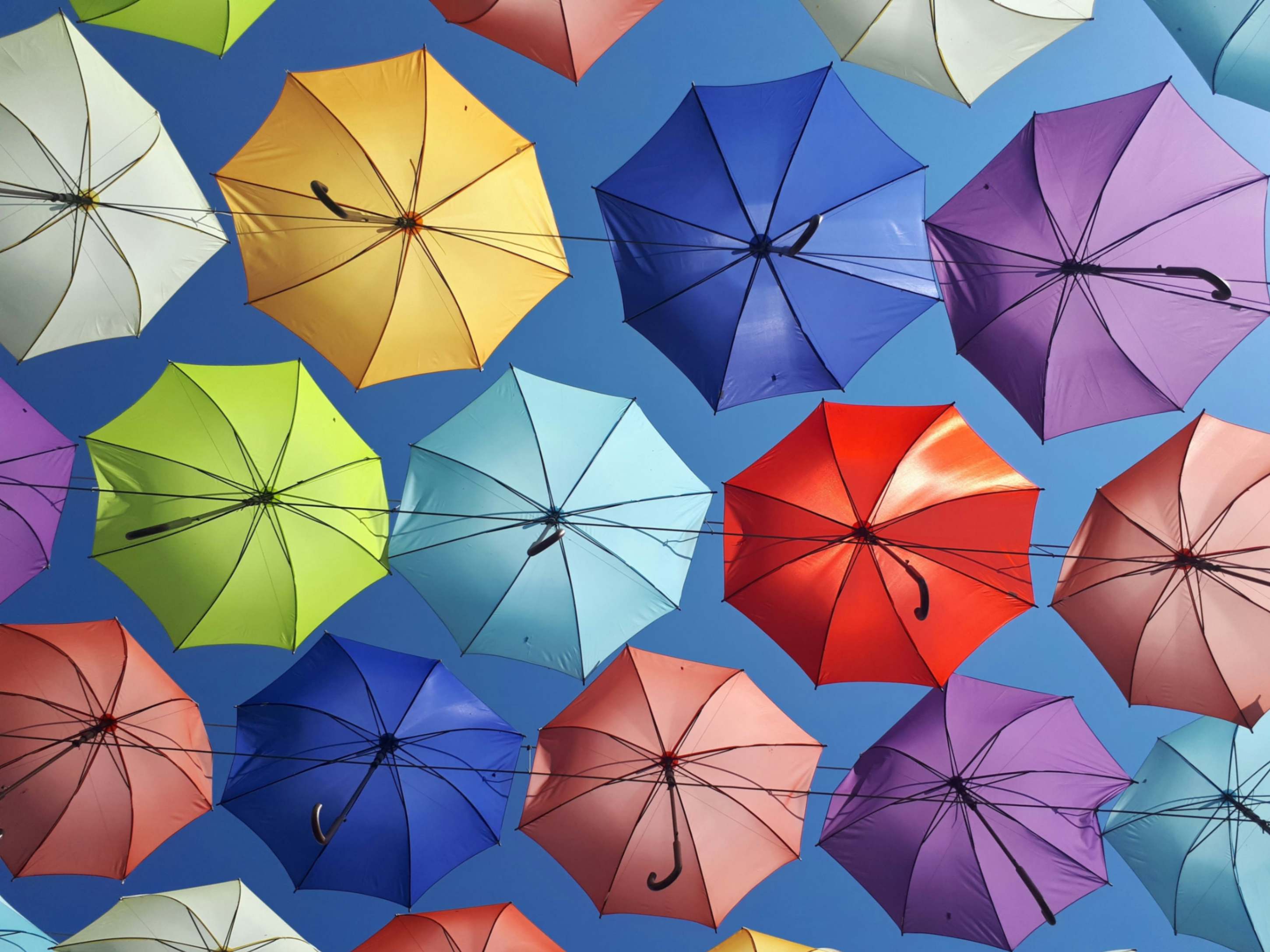 Cover image for Unlocking the Power of Diverse Perspectives