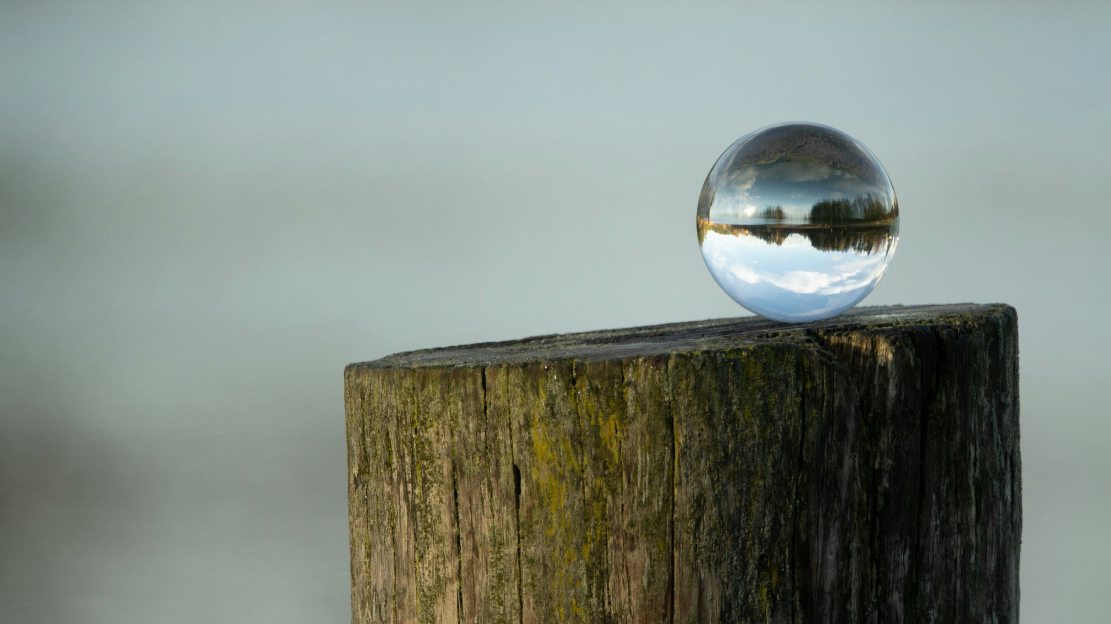 Cover image for Balancing IDEA Compliance with Real Classroom Realities