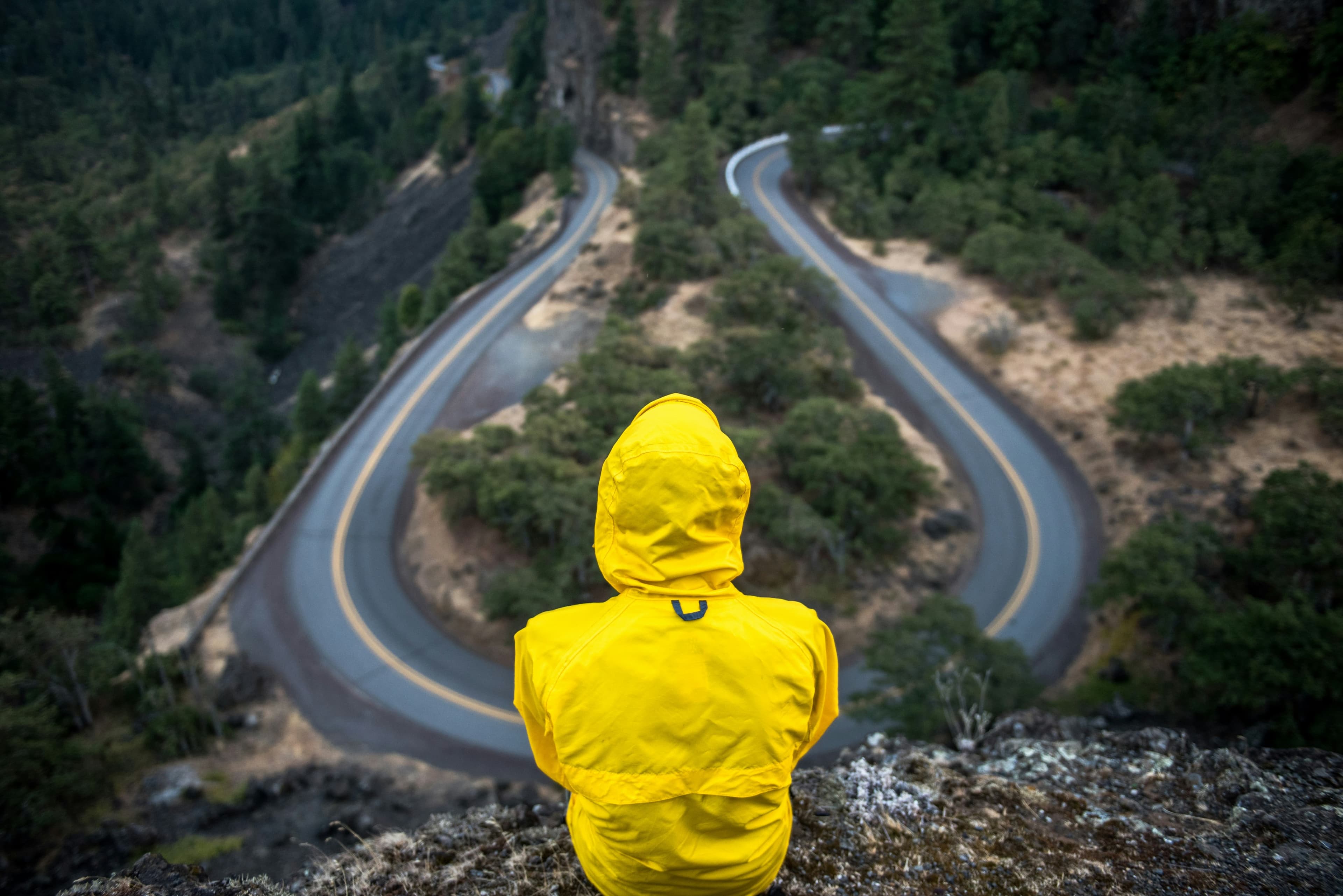 Breaking Down Decision Fatigue with AI-Driven Structure