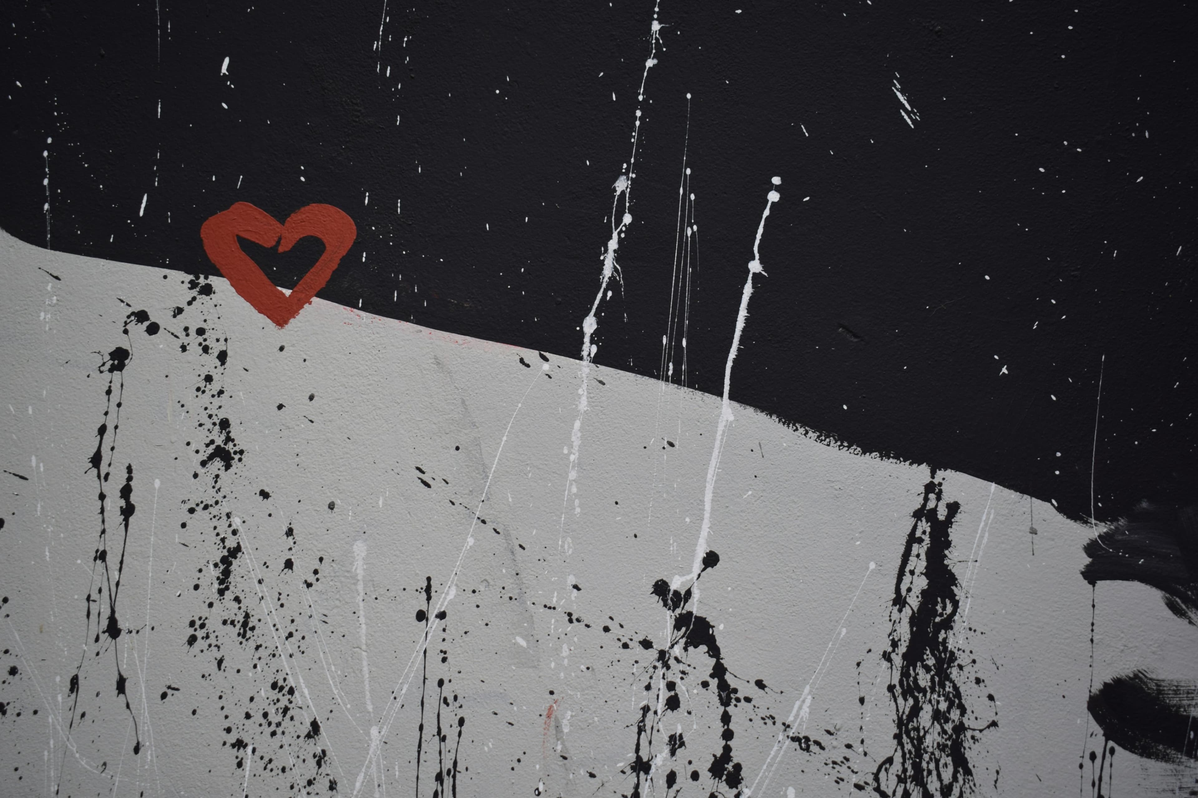 Cover image for Soft Heart, Steel Spine: Balancing Compassion and Performance When Stakes Are High