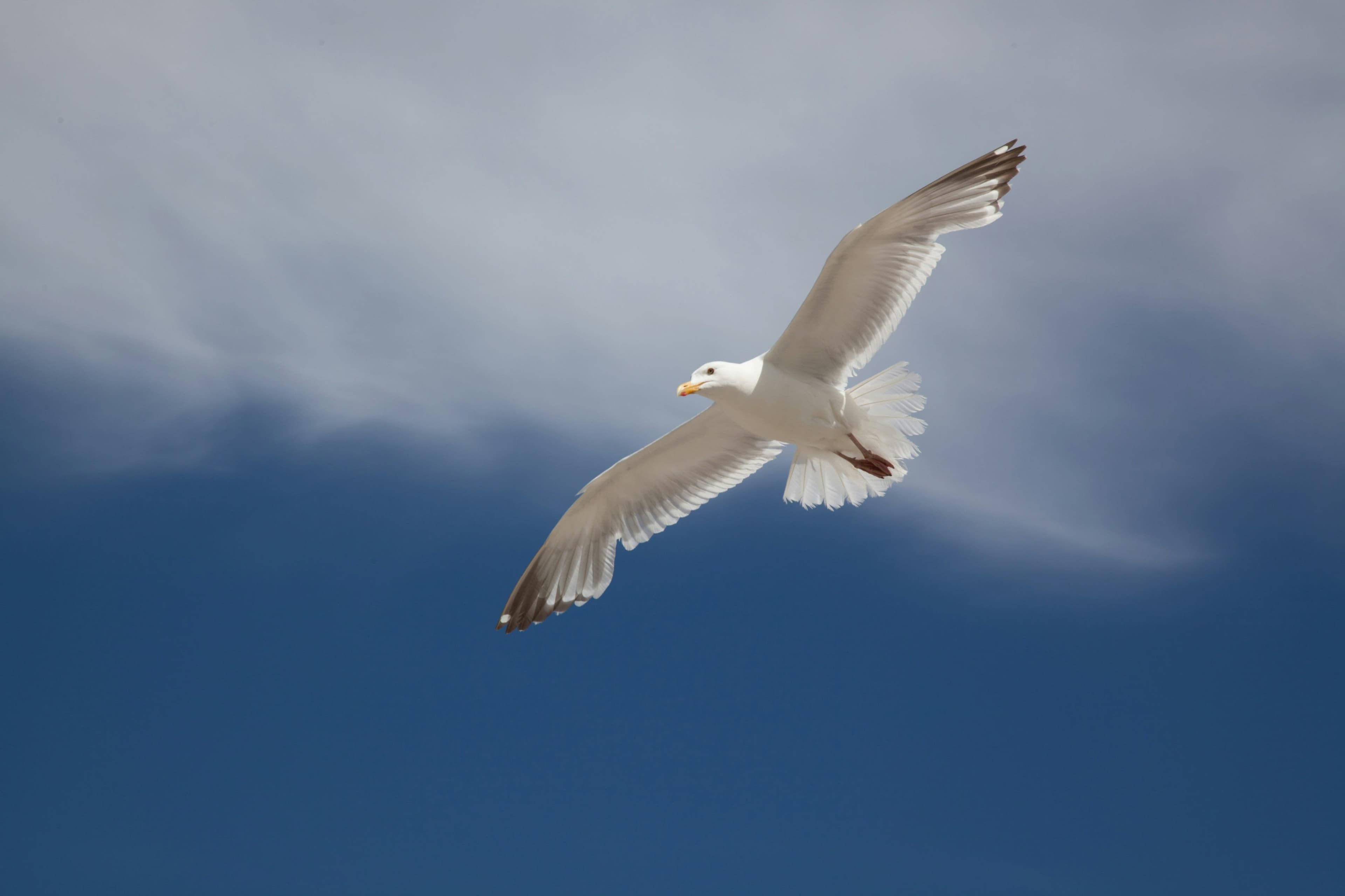 Cover image for Breaking Barriers: How Community Voices Are Redefining Mental Wellness Outreach