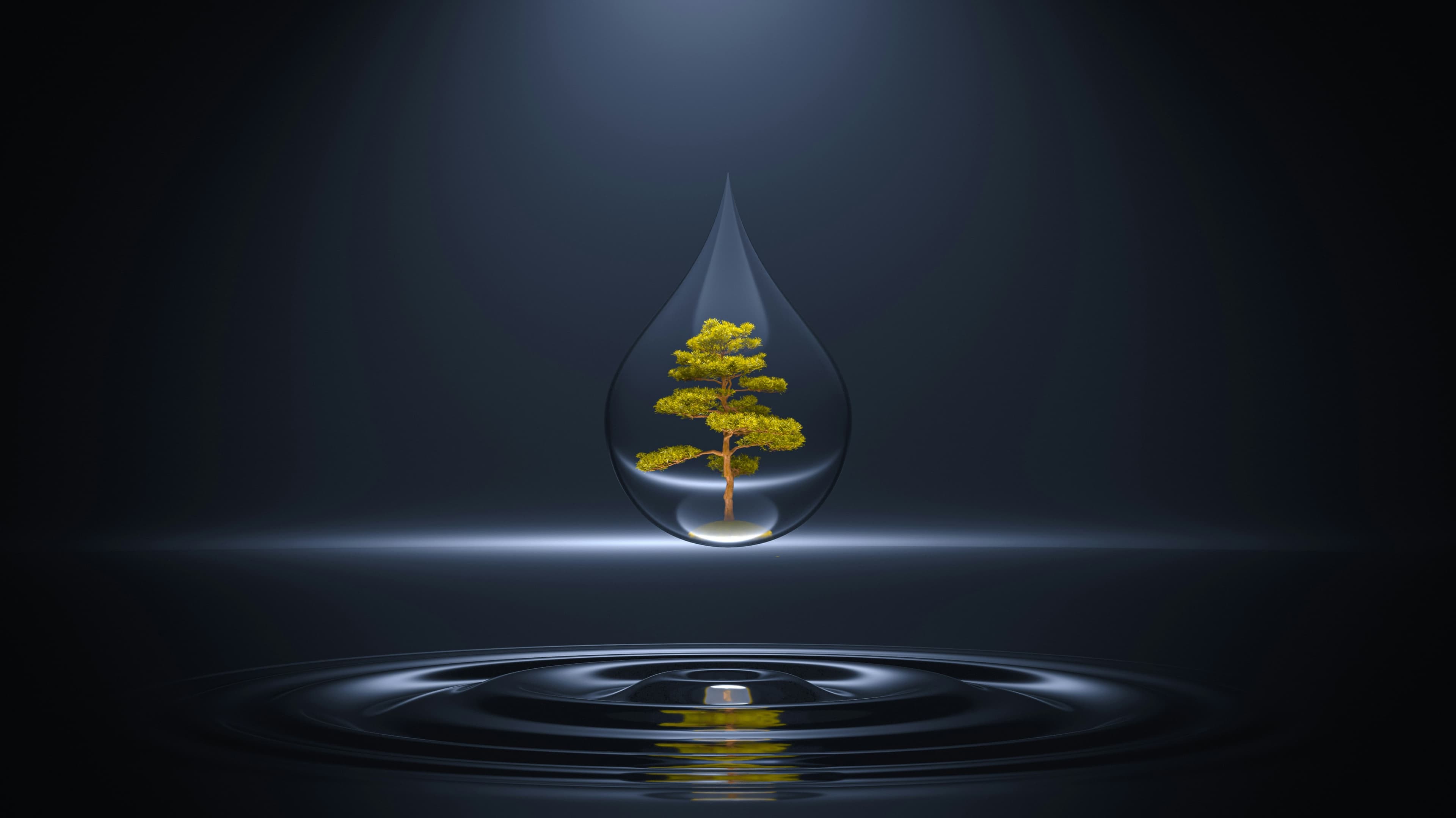 Cover image for Translating Global Energy Milestones into Local Government Action