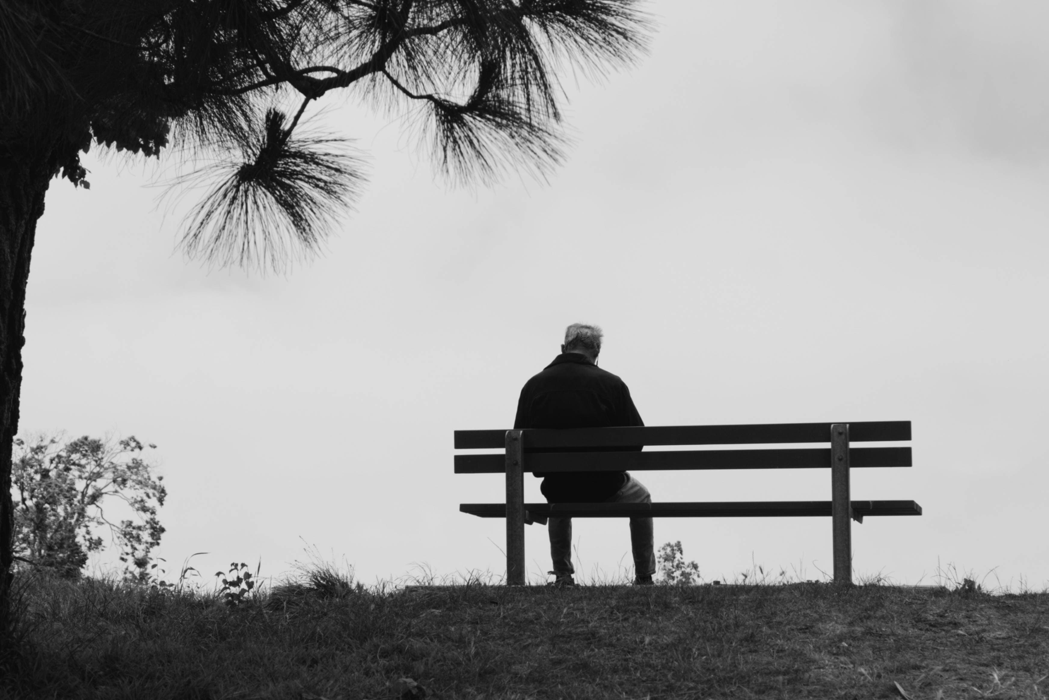 Late-Life Depression, Local Solutions: A Municipal Guide to Senior Mental Wellness