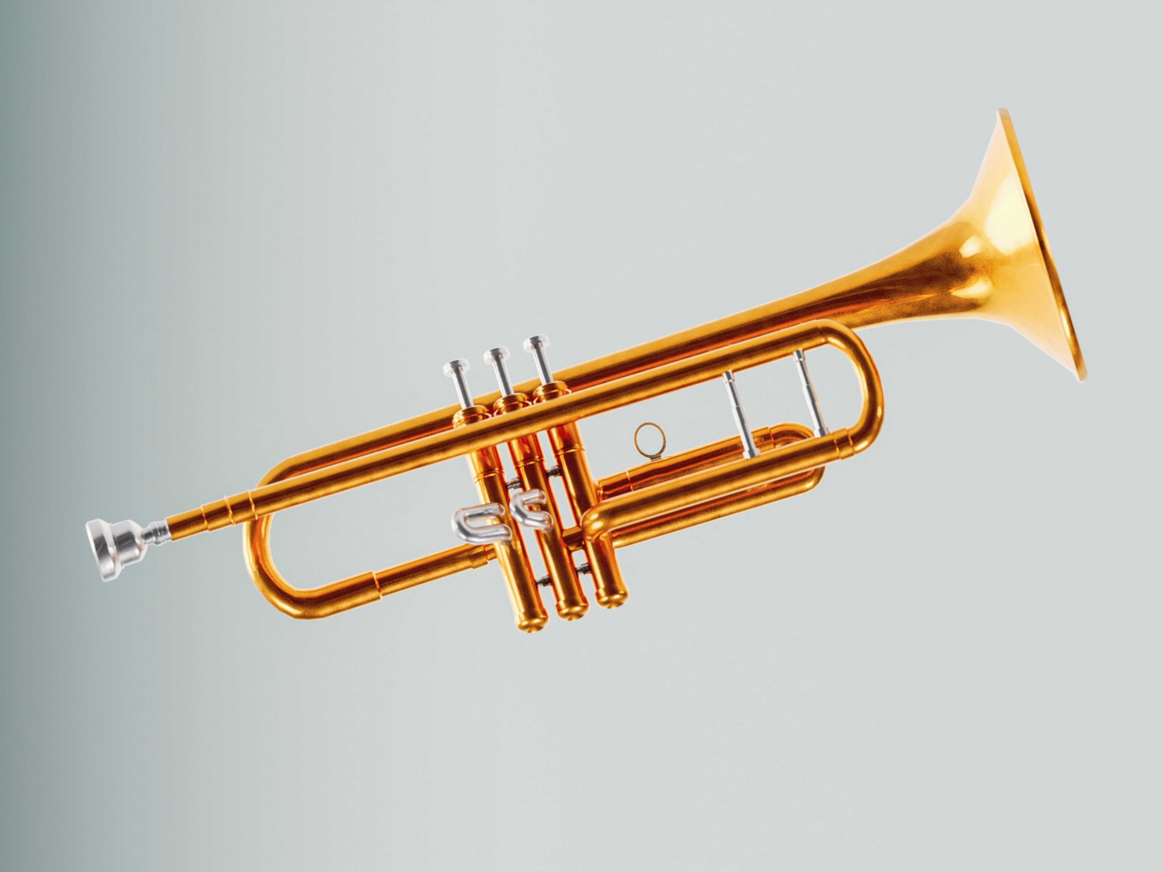 Cover image for The Reflective Maestro: Conducting Leadership Like a Symphony