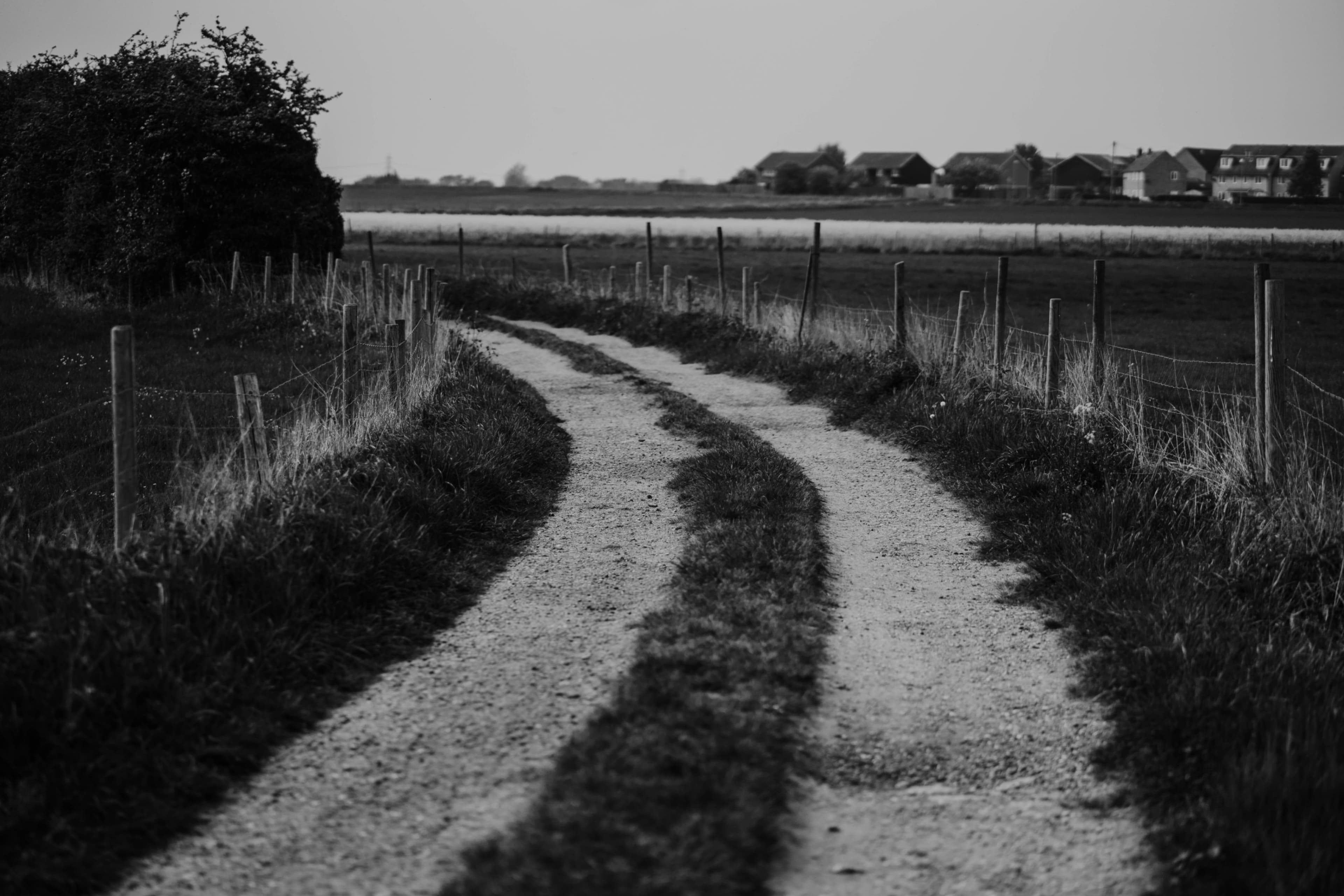 Cover image for Faith and Grit: Finding Direction When the Path Seems Unclear