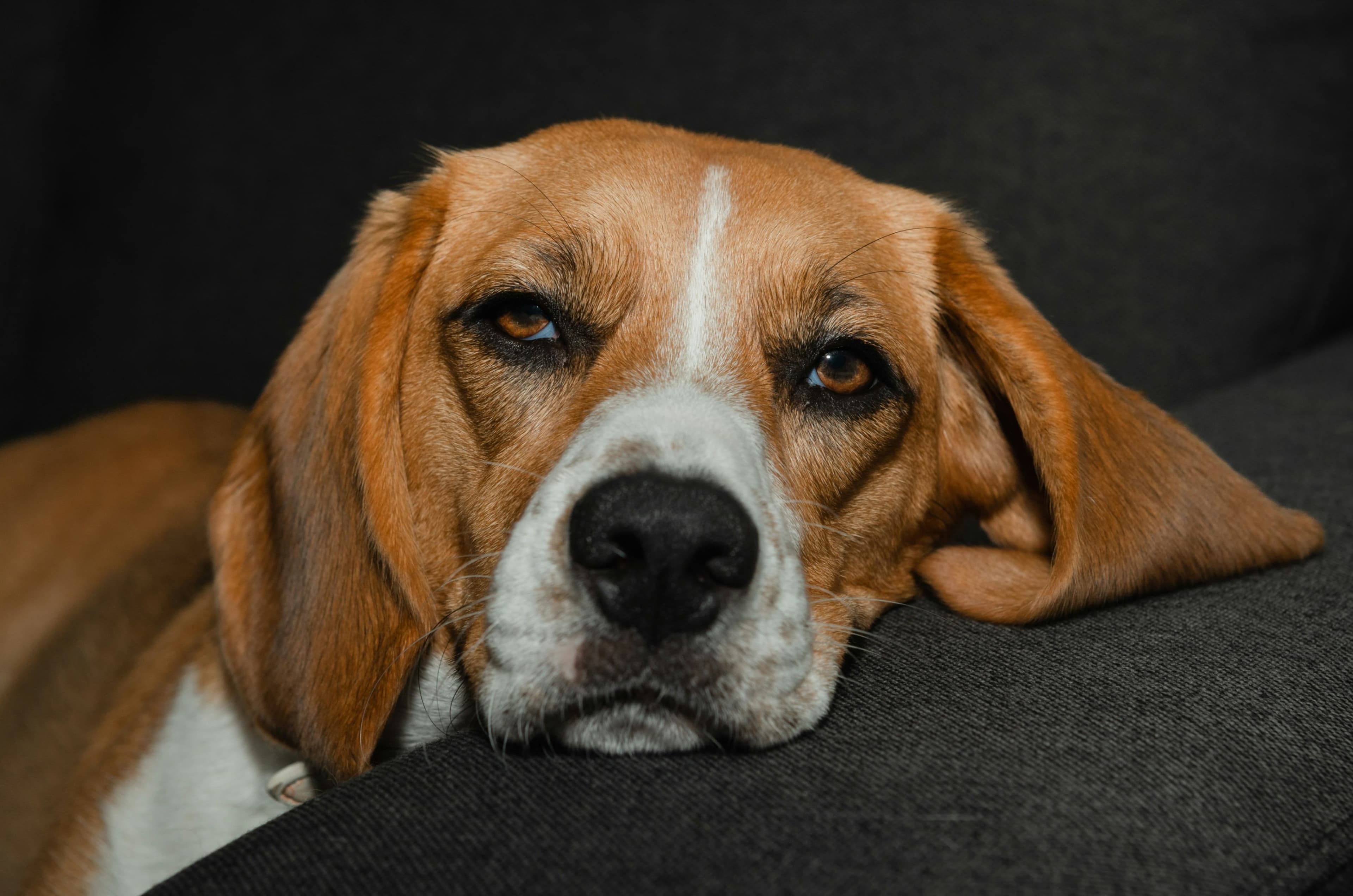 Sleep Deprivation Is the New Burnout: How to Reset Your Body and Mind