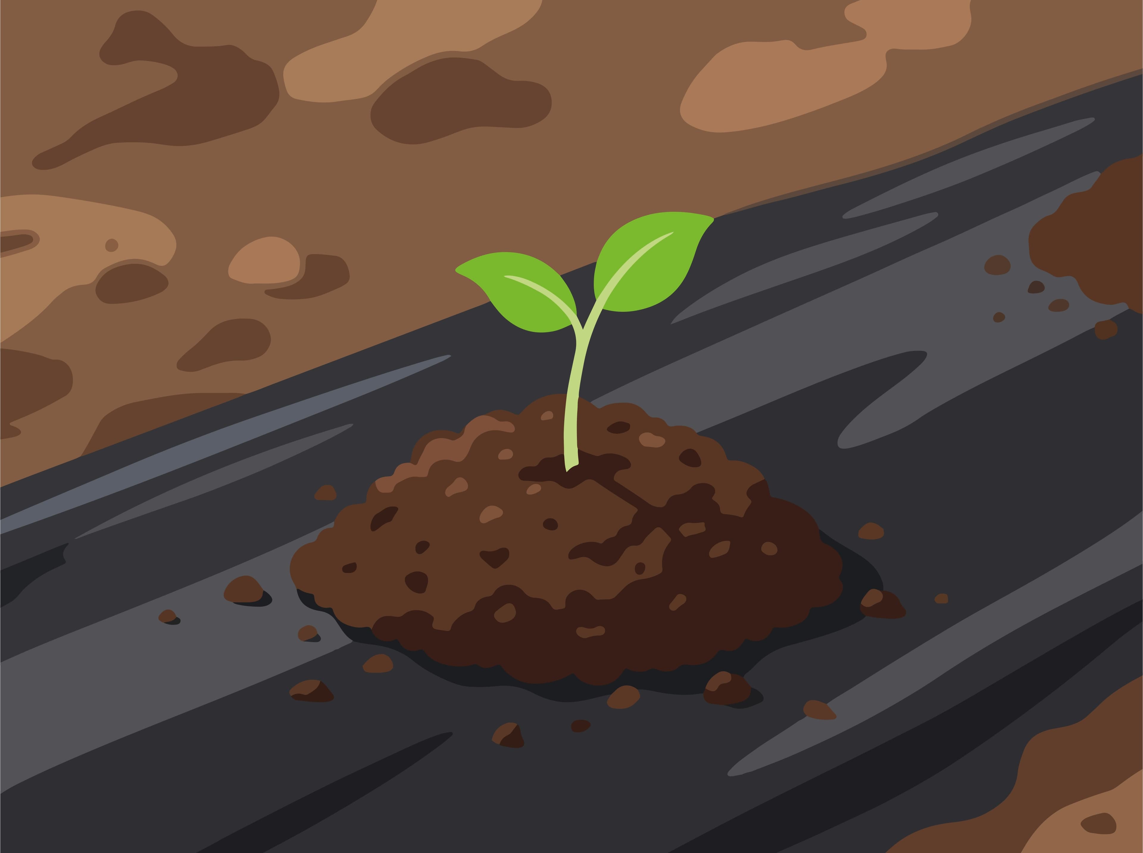 Cover image for Do Not Curse the Soil: Prepare Yourself While the Seed Grows