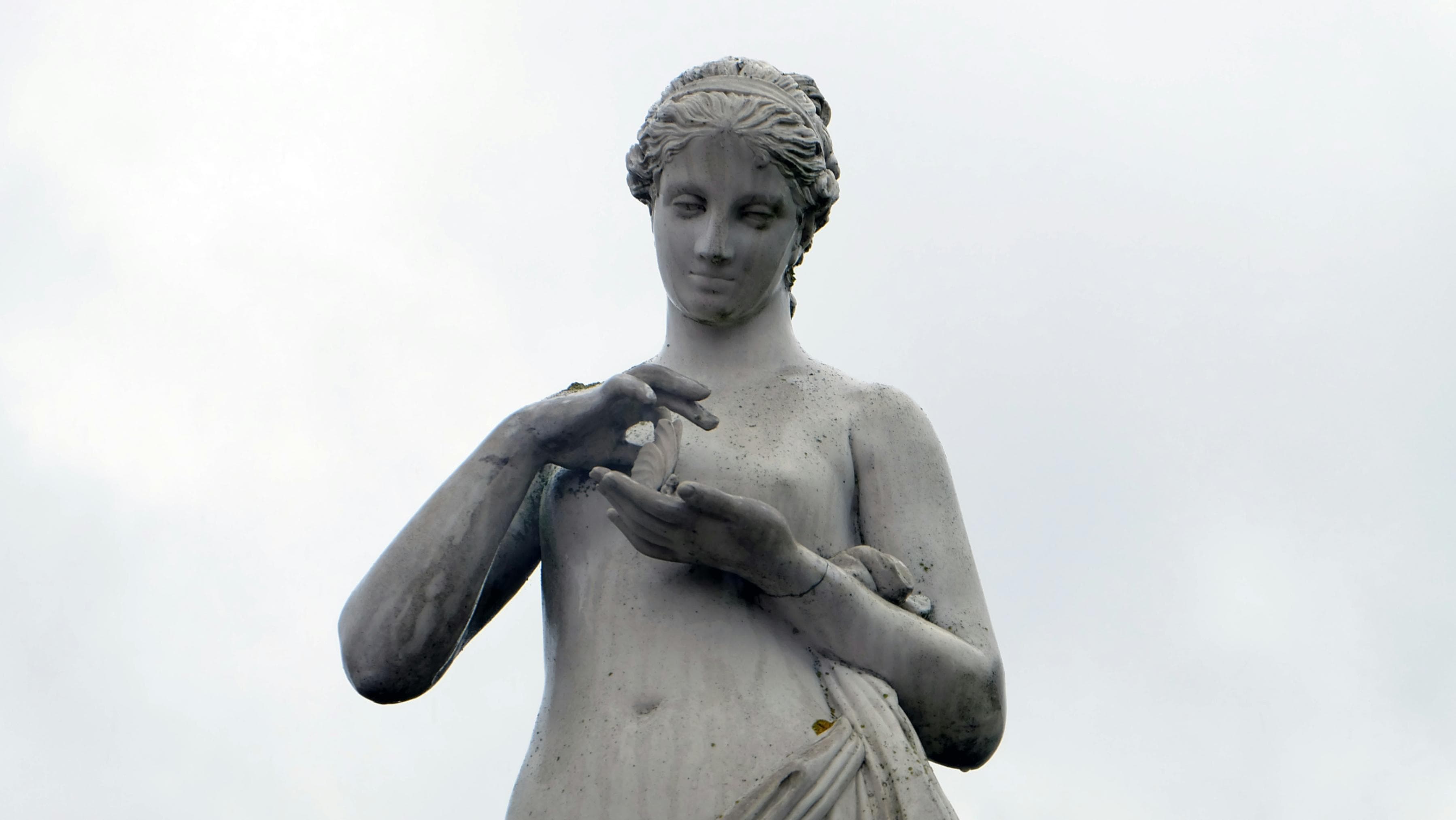 Cover image for Data, Dilemmas, and Dignity: The Ethics of AI in Mental Health Services