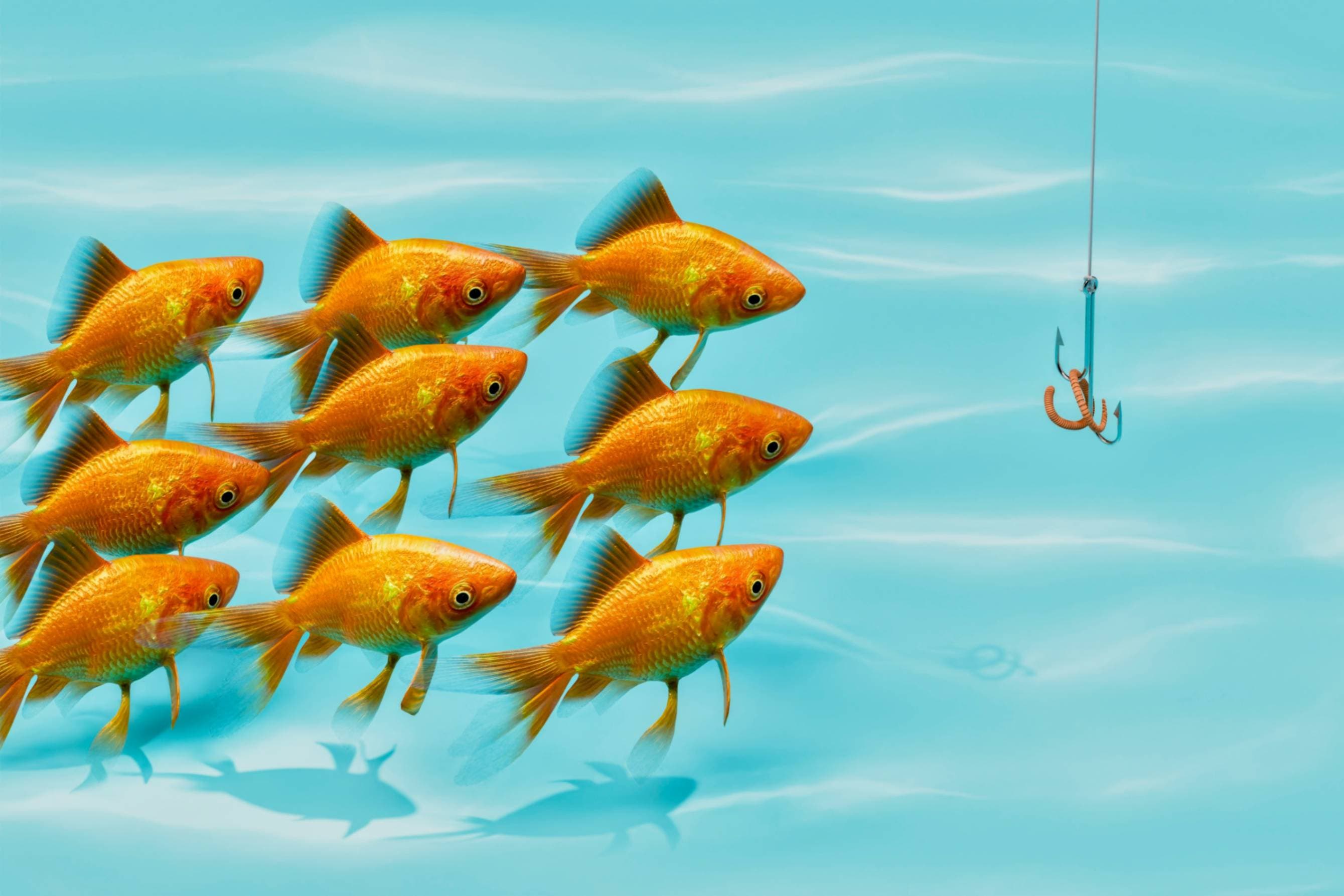 Cover image for Teaching to Fish: How Municipal Leaders Create Lifelong Problem-Solvers