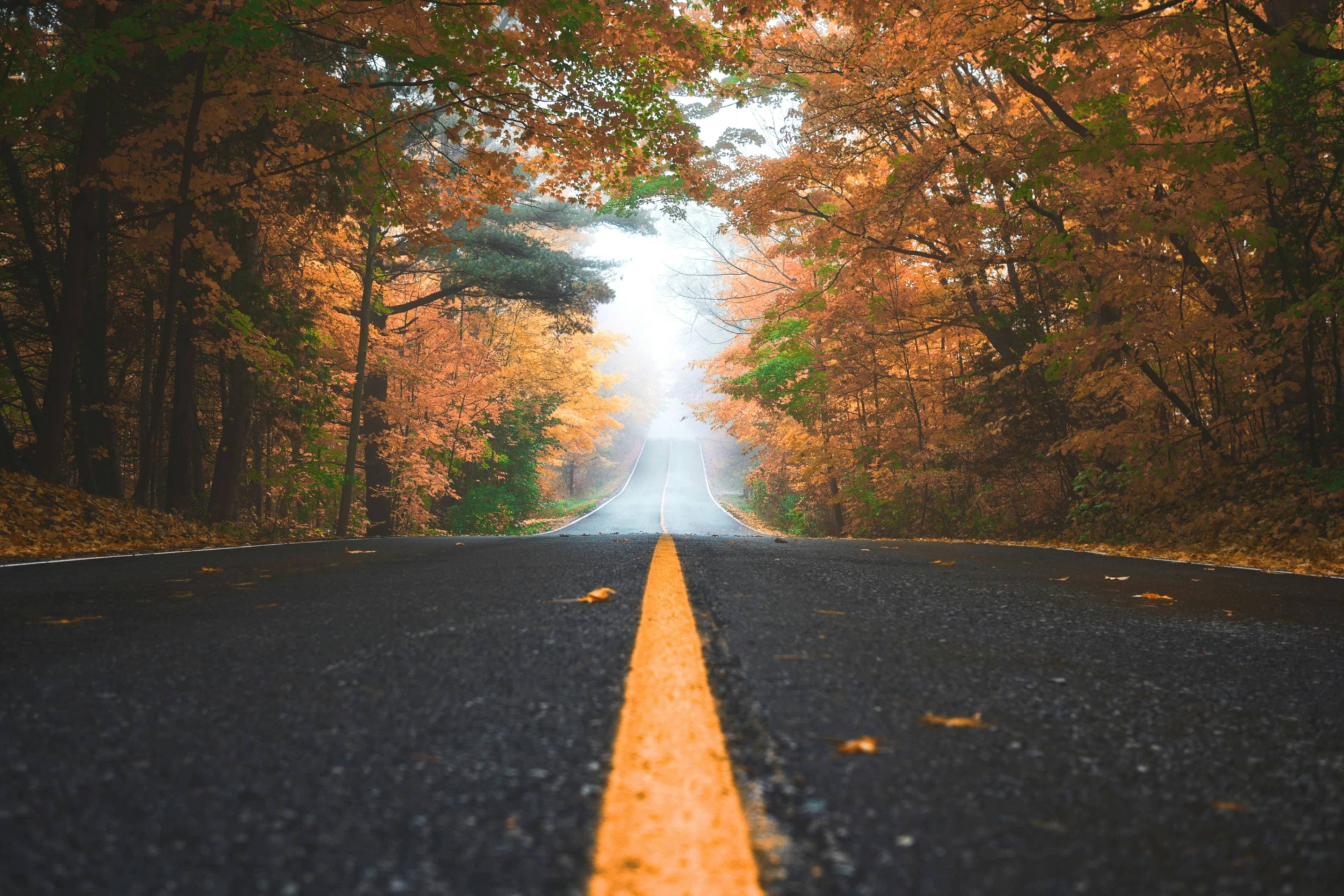 Cover image for Empowering Cities: Local Solutions for a National Opioid Emergency